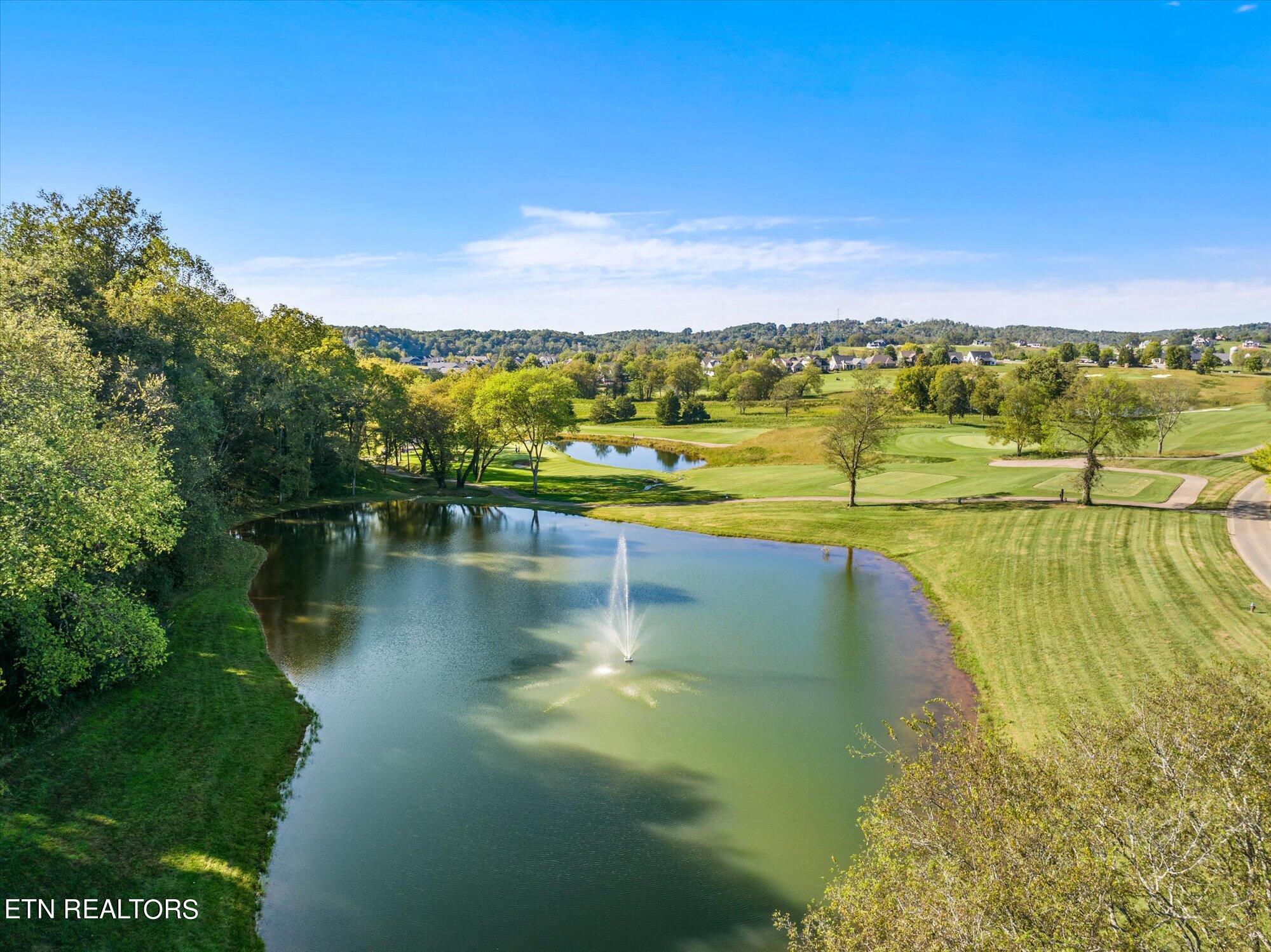 1479 Black Cove Lane, Loudon, TN - Fort Loudoun and Tellico Lake Real Estate - Image# 12