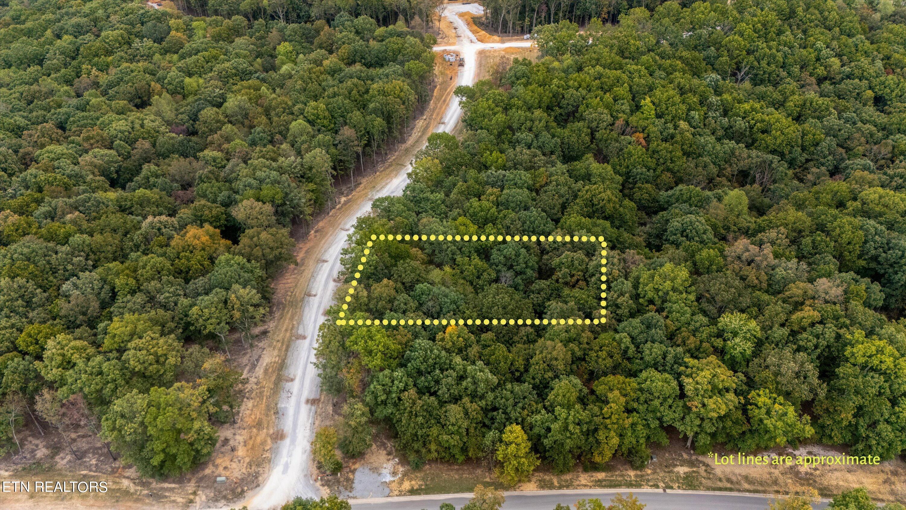 184 Hammock Court, Loudon, TN - Fort Loudoun and Tellico Lake Real Estate - Image# 2
