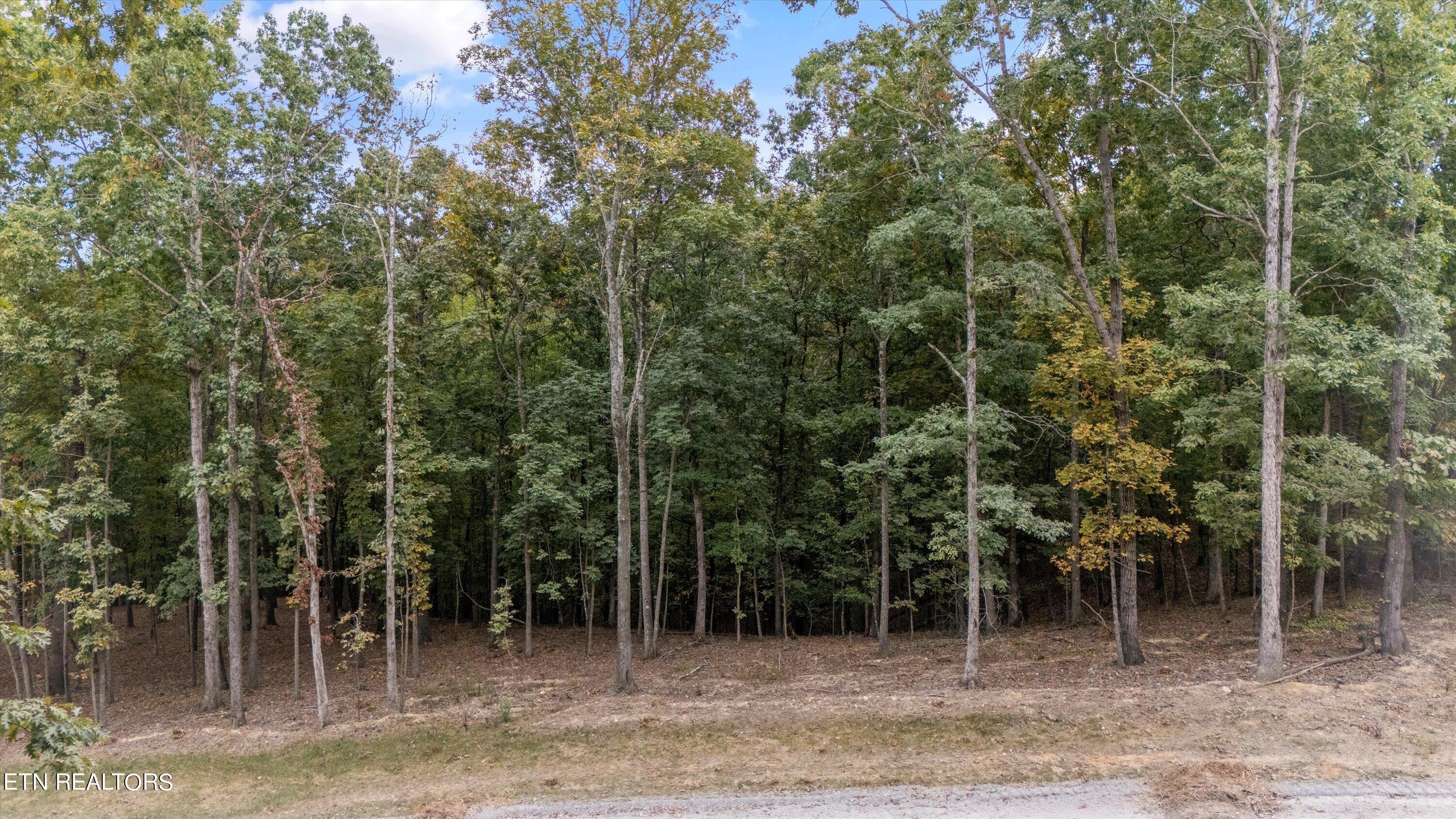 184 Hammock Court, Loudon, TN - Fort Loudoun and Tellico Lake Real Estate - Image# 3