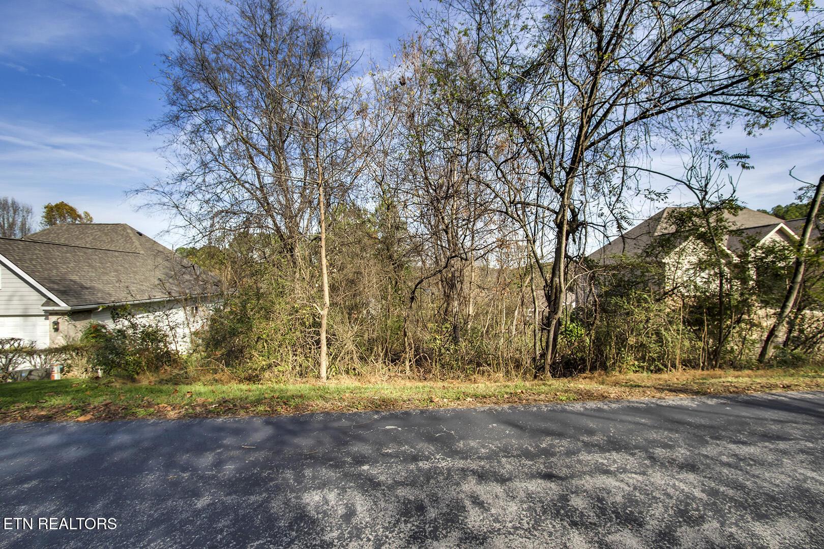 306 Awohili Lane, Loudon, TN - Fort Loudoun and Tellico Lake Real Estate - Image# 2