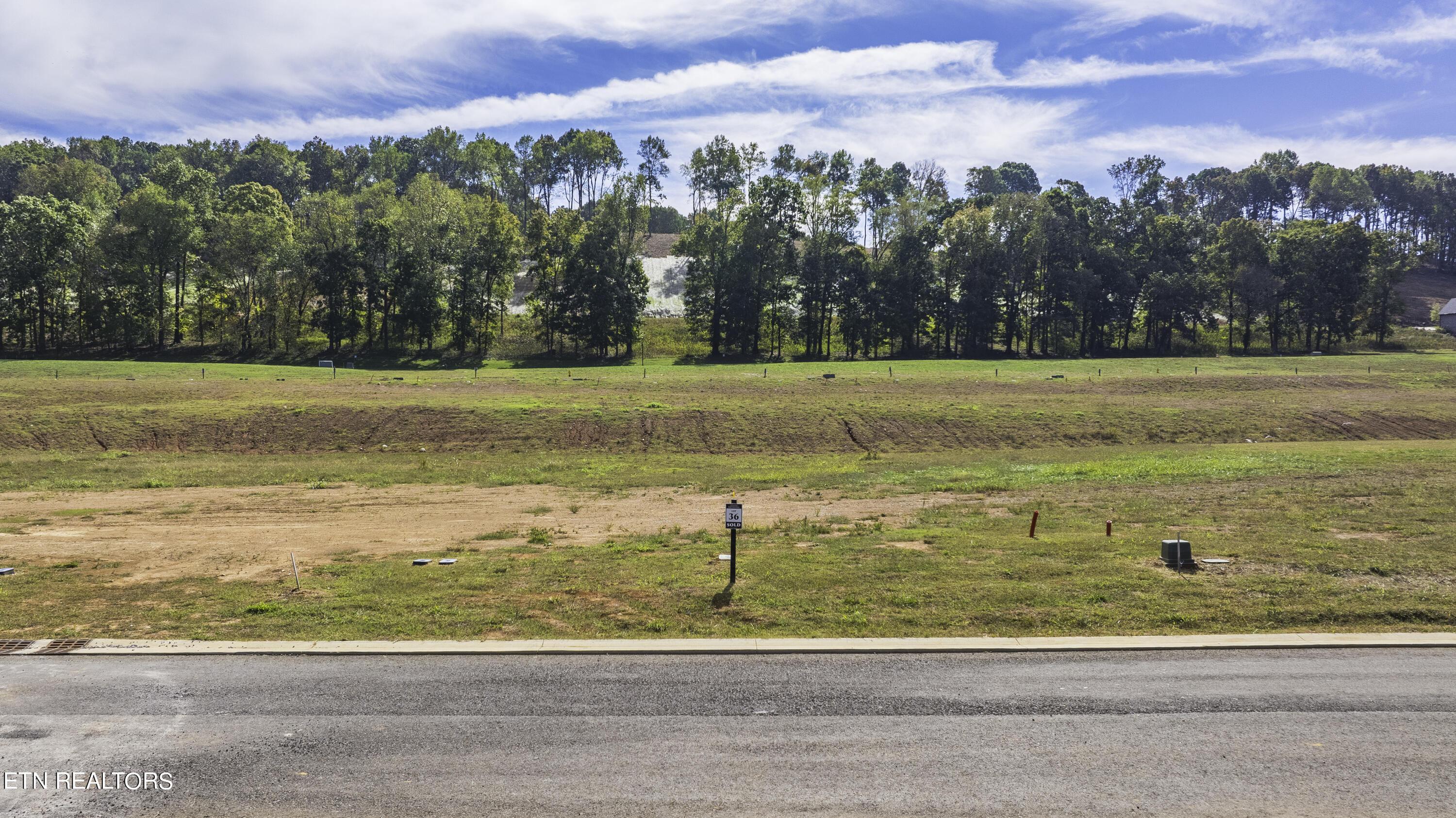 696 Black Bear Circle, Loudon, TN - Fort Loudoun and Tellico Lake Real Estate - Image# 7