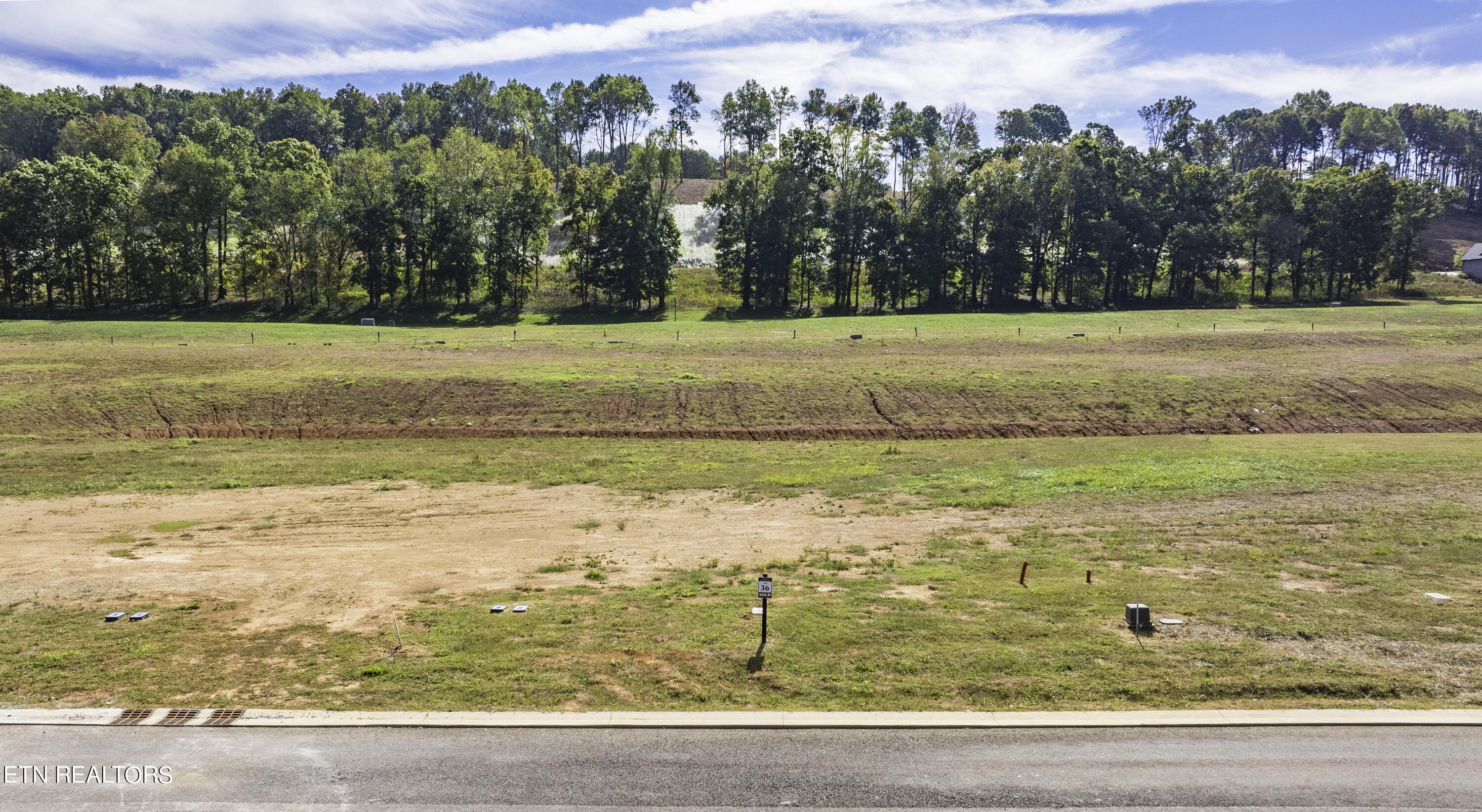 696 Black Bear Circle, Loudon, TN - Fort Loudoun and Tellico Lake Real Estate - Image# 9
