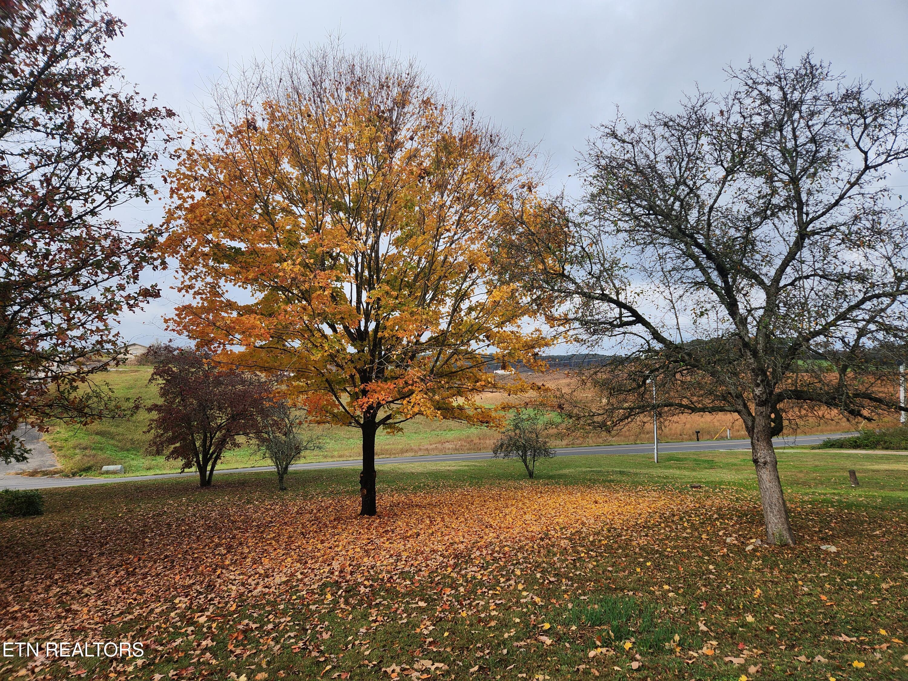 Fort Loudoun and Tellico Lake Real Estate - Image# 25