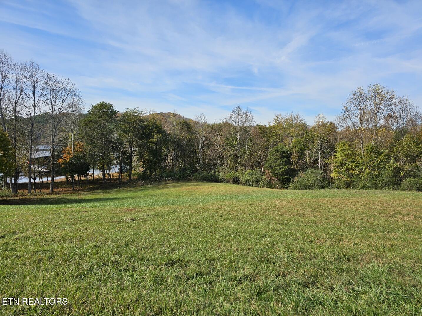 261 White Swan Drive, Vonore, TN - Fort Loudoun and Tellico Lake Real Estate - Image# 9