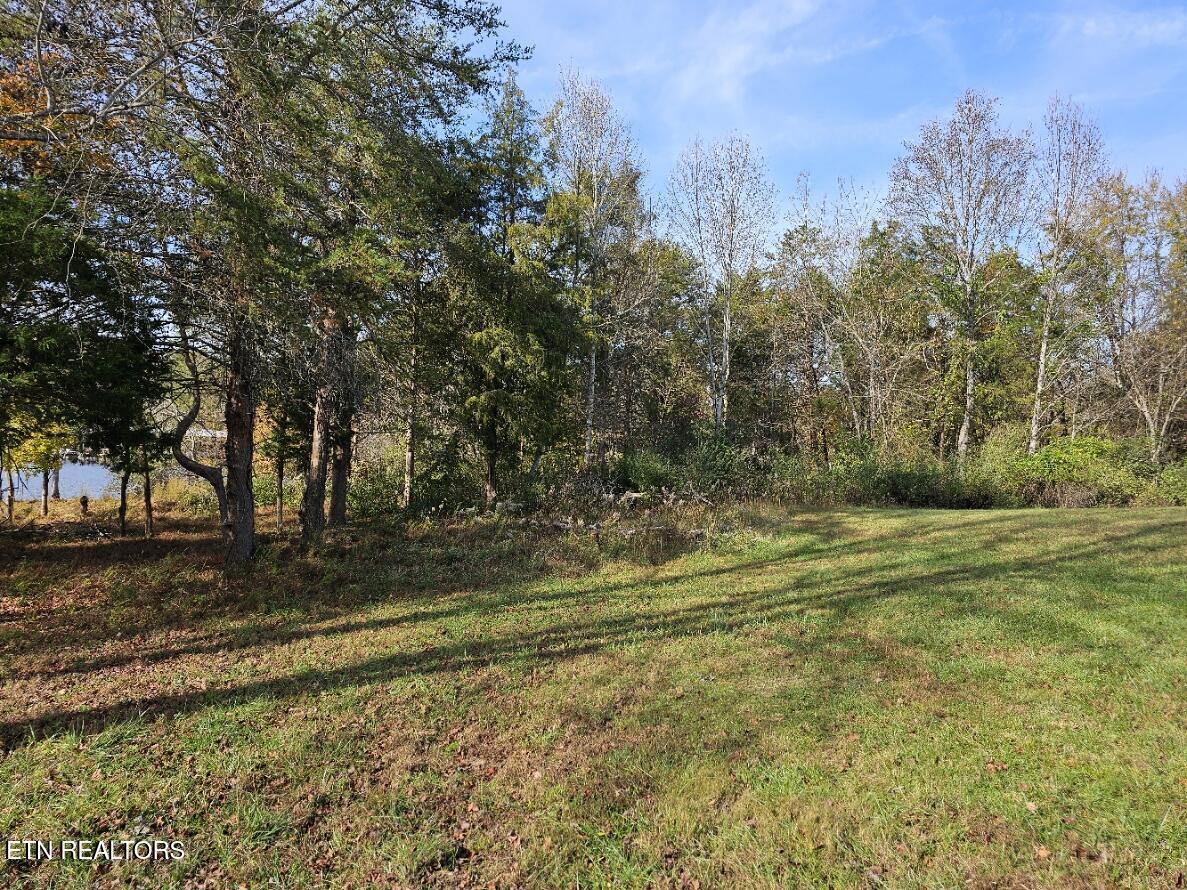 261 White Swan Drive, Vonore, TN - Fort Loudoun and Tellico Lake Real Estate - Image# 11