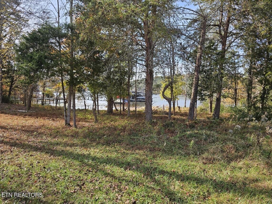 261 White Swan Drive, Vonore, TN - Fort Loudoun and Tellico Lake Real Estate - Image# 10