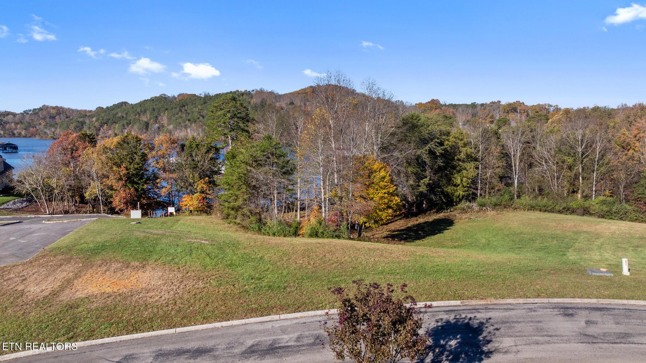 261 White Swan Drive, Vonore, TN - Fort Loudoun and Tellico Lake Real Estate - Image# 3