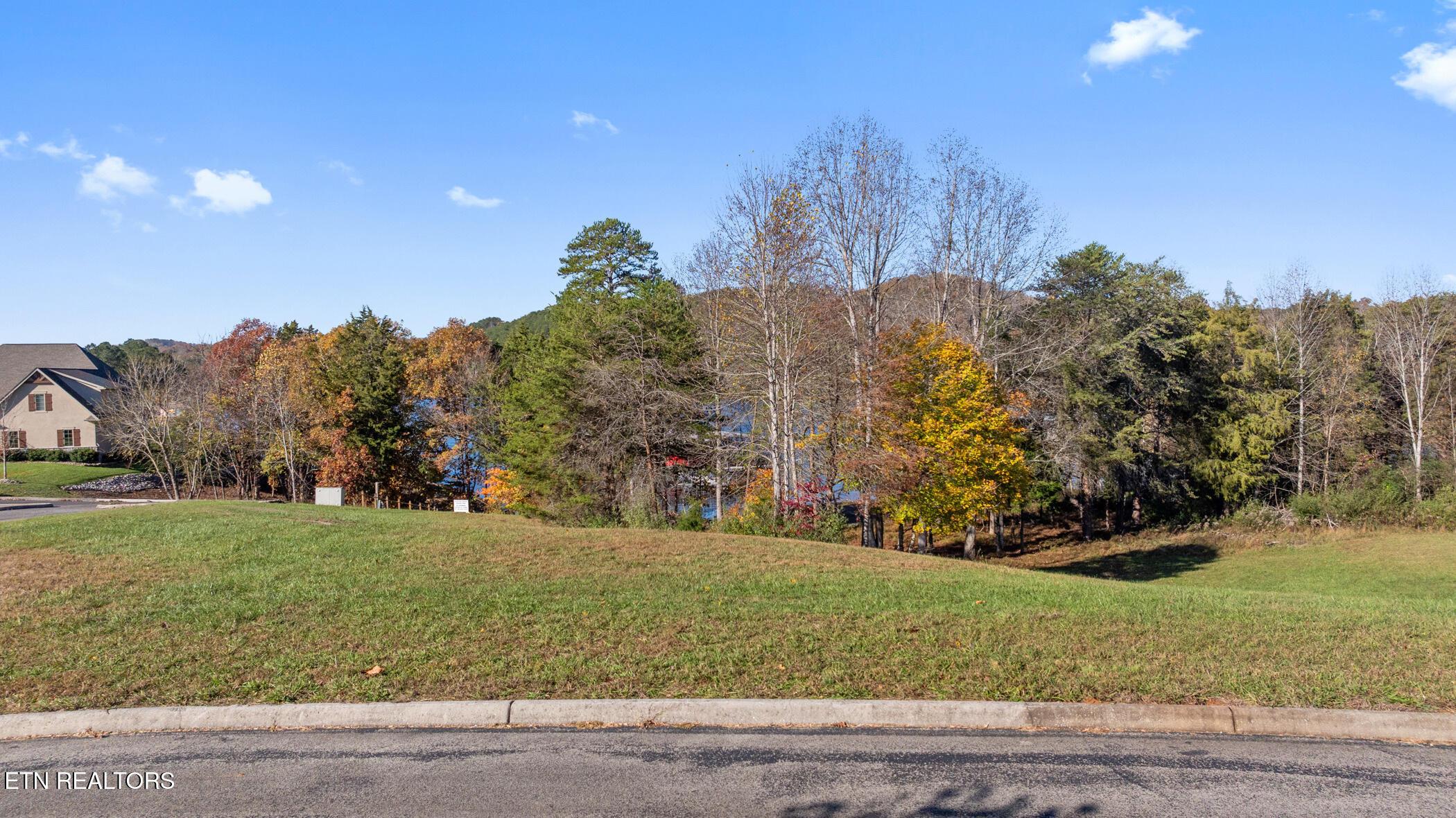 261 White Swan Drive, Vonore, TN - Fort Loudoun and Tellico Lake Real Estate - Image# 6