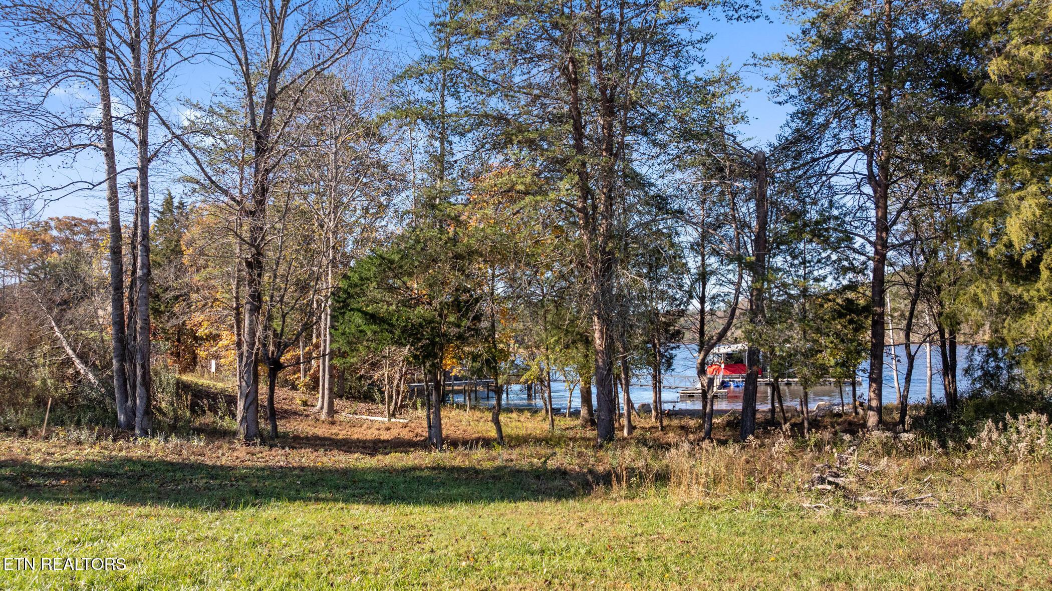 261 White Swan Drive, Vonore, TN - Fort Loudoun and Tellico Lake Real Estate - Image# 8