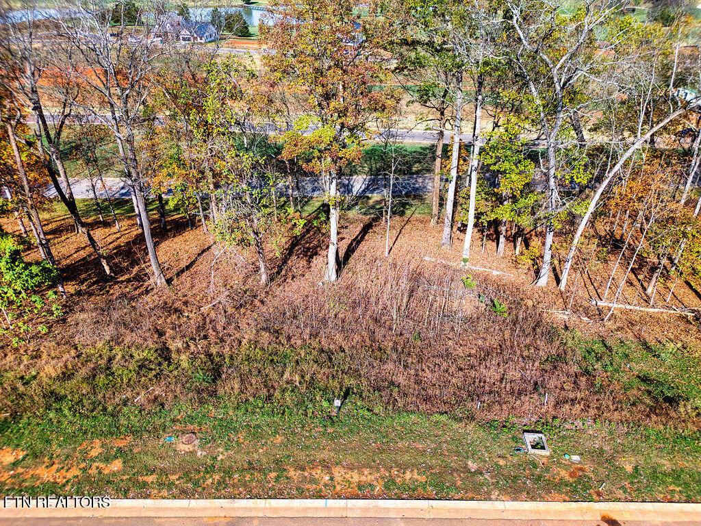 1673 Black Cove Lane, Loudon, TN - Fort Loudoun and Tellico Lake Real Estate - Image# 11