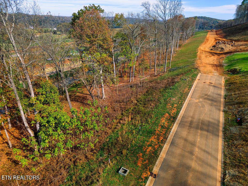 1673 Black Cove Lane, Loudon, TN - Fort Loudoun and Tellico Lake Real Estate - Image# 9
