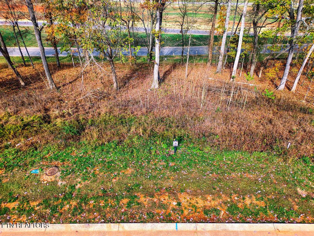 1673 Black Cove Lane, Loudon, TN - Fort Loudoun and Tellico Lake Real Estate - Image# 1