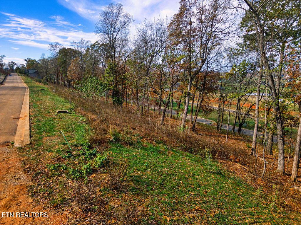 1673 Black Cove Lane, Loudon, TN - Fort Loudoun and Tellico Lake Real Estate - Image# 10