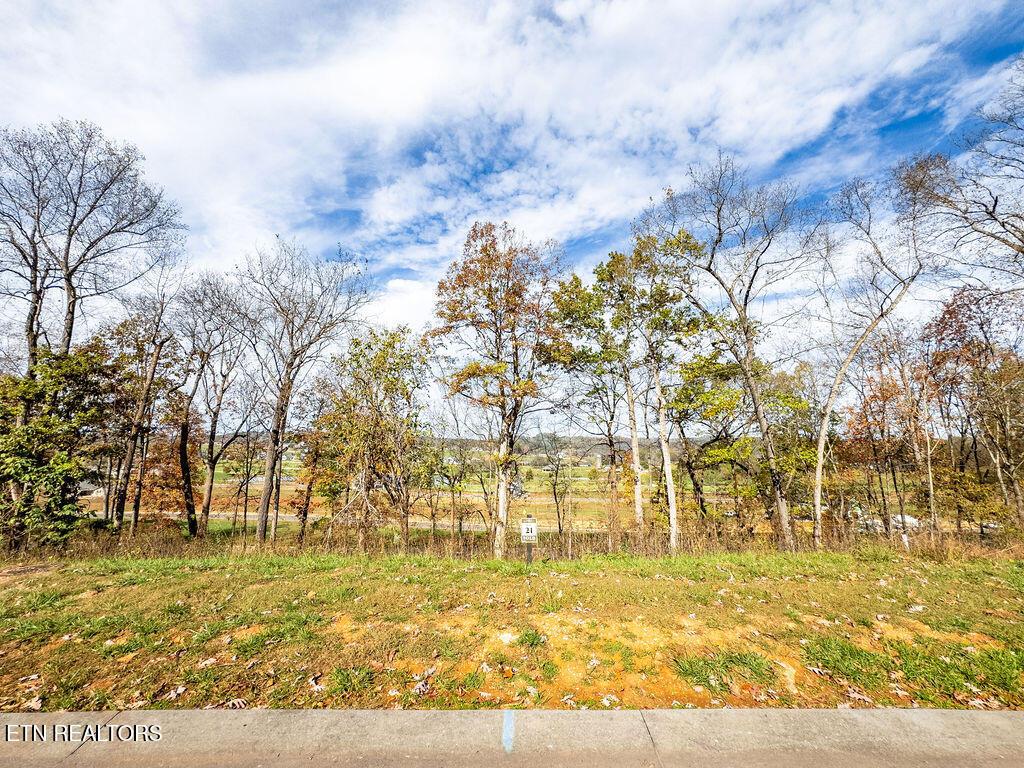 1673 Black Cove Lane, Loudon, TN - Fort Loudoun and Tellico Lake Real Estate - Image# 12