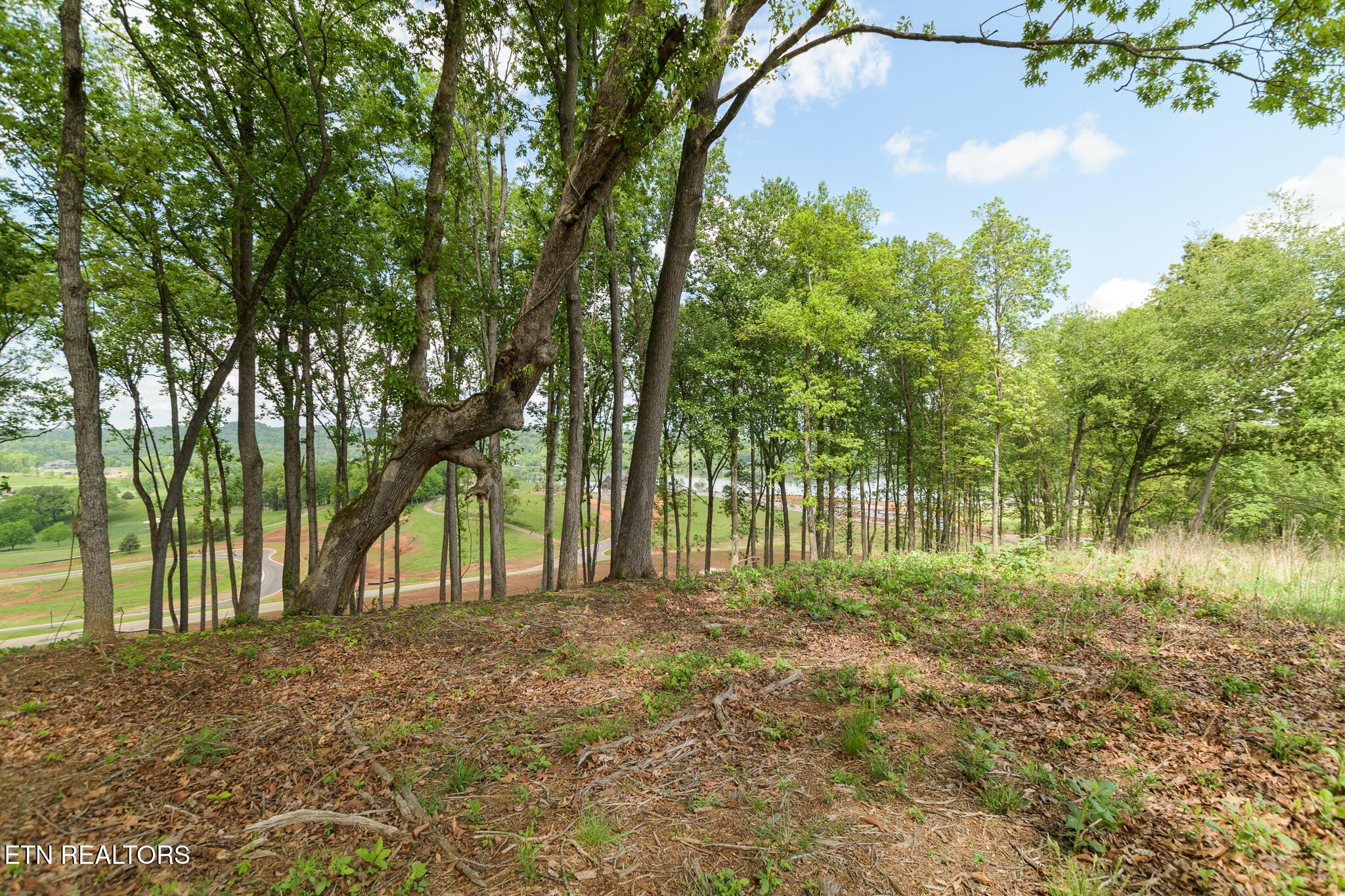 4071 Old Dogwood Tr, Loudon, TN - Fort Loudoun and Tellico Lake Real Estate - Image# 10