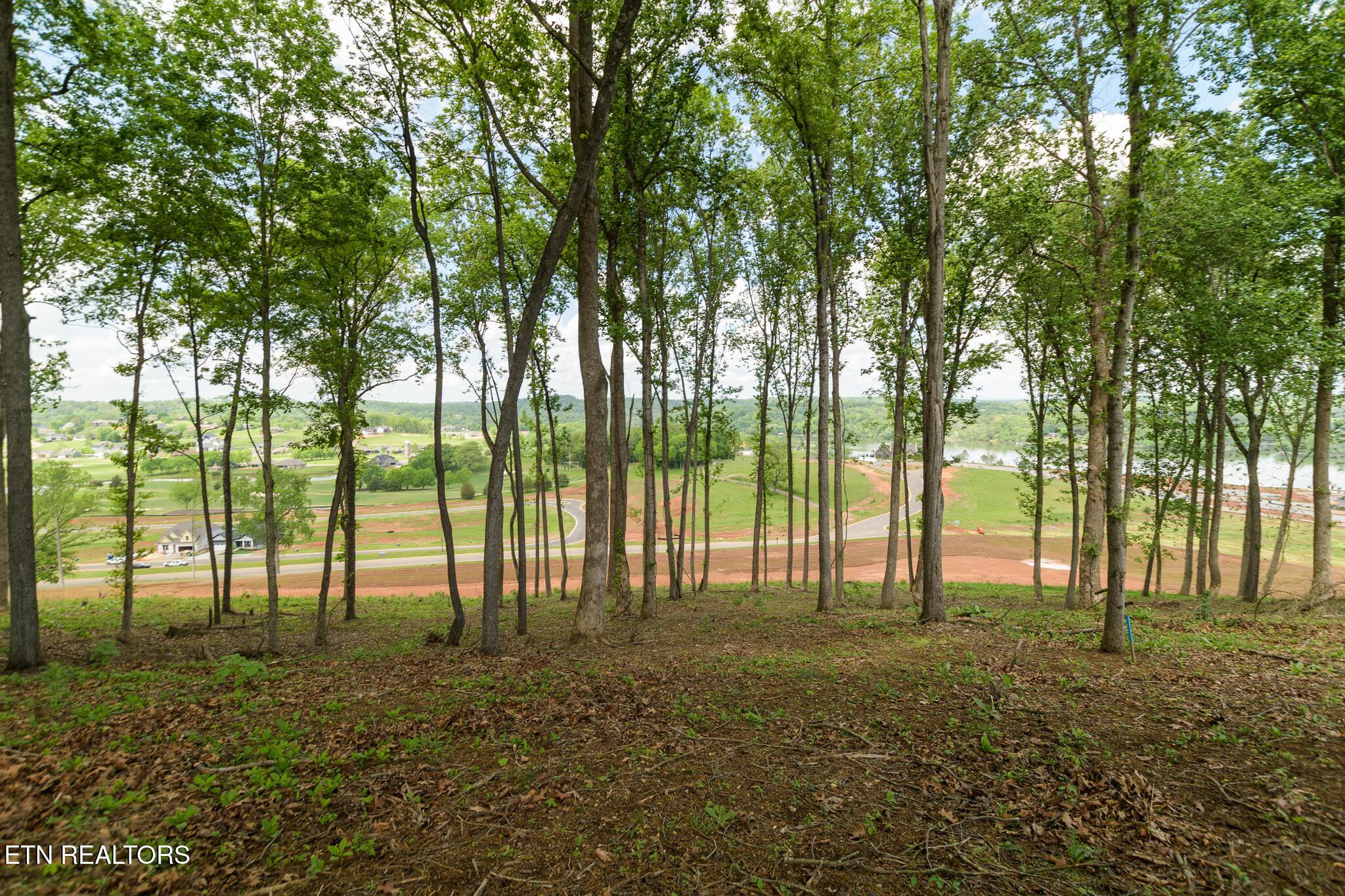 4071 Old Dogwood Tr, Loudon, TN - Fort Loudoun and Tellico Lake Real Estate - Image# 9