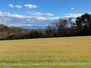 851 Highway 411, Vonore, TN - Fort Loudoun and Tellico Lake Real Estate - Image# 1