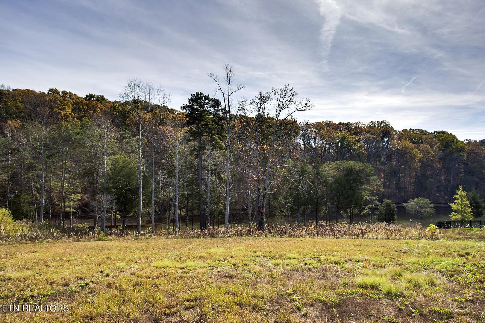 292 Beckets Way, Lenoir City, TN - Fort Loudoun and Tellico Lake Real Estate - Image# 7
