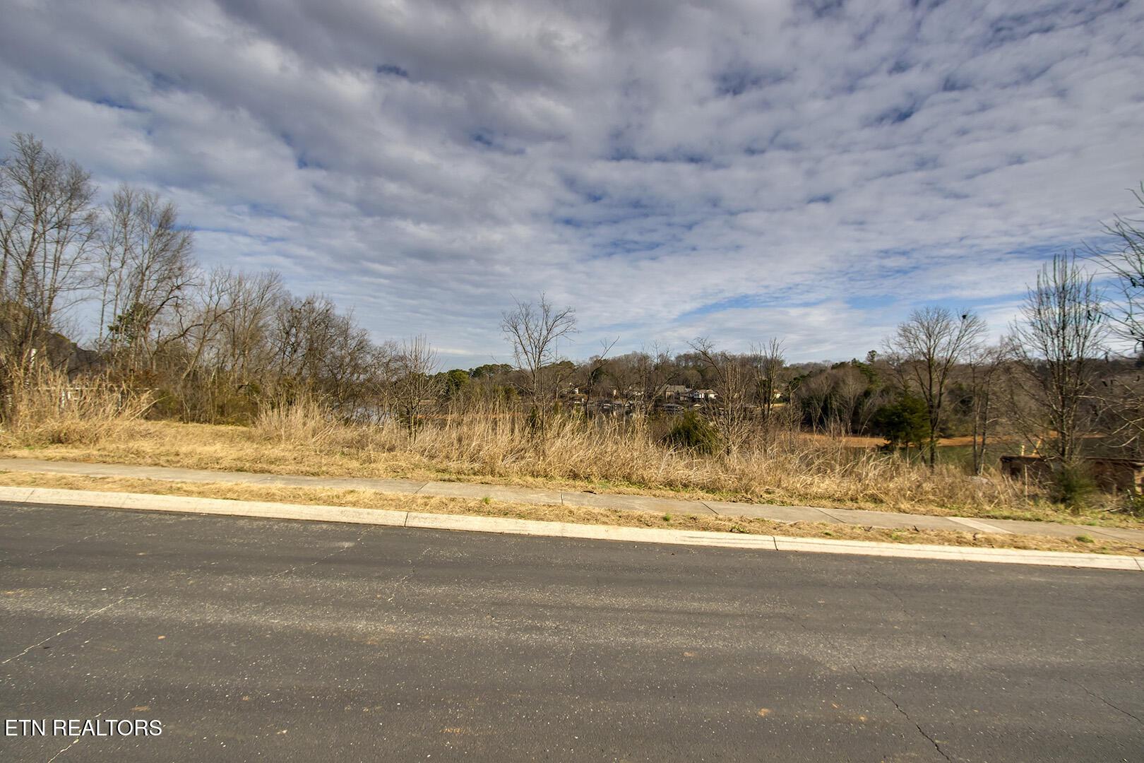 128 Kanutsu Lane, Loudon, TN - Fort Loudoun and Tellico Lake Real Estate - Image# 6