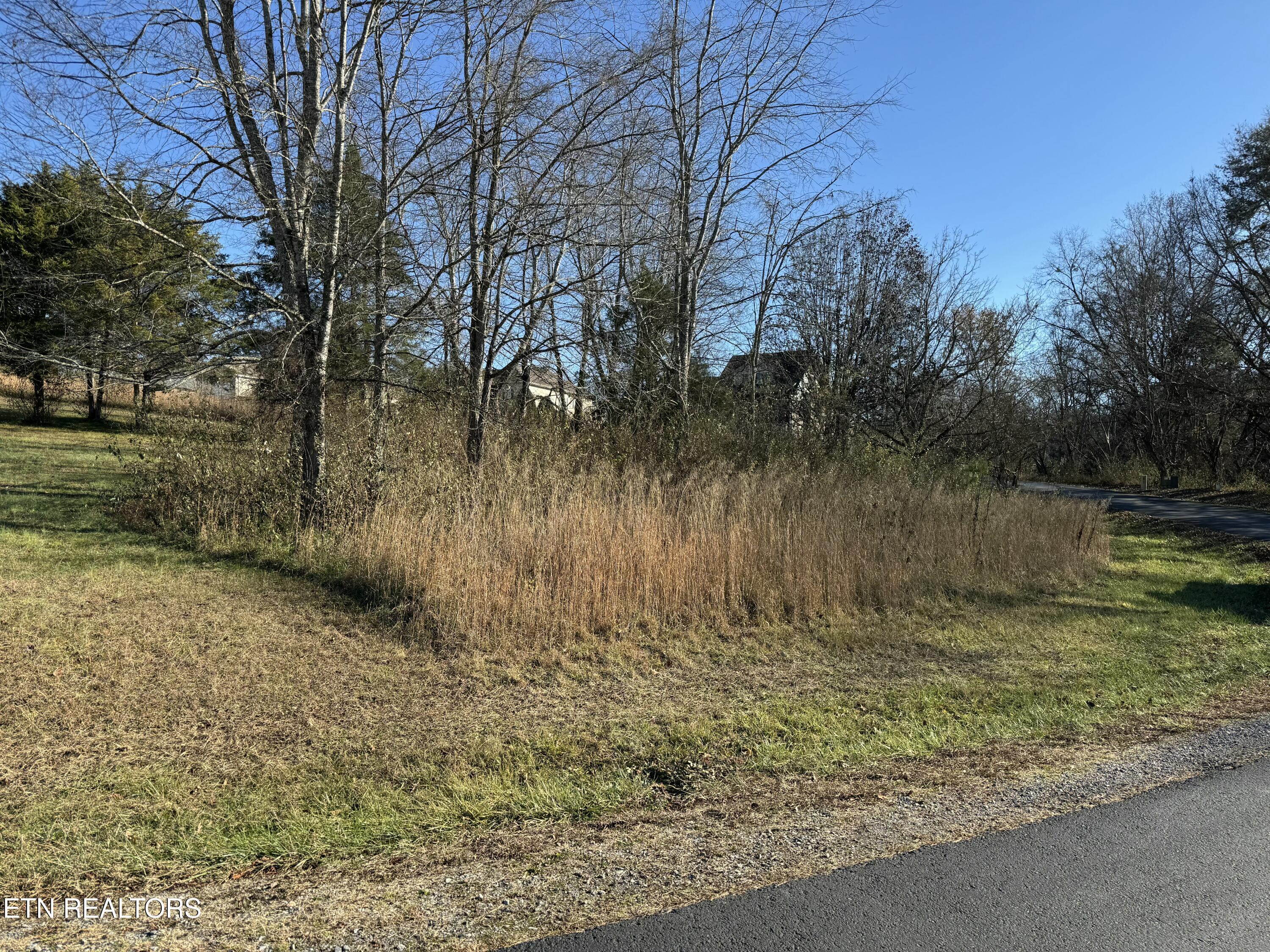Ganega Tr, Vonore, TN - Fort Loudoun and Tellico Lake Real Estate - Image# 2