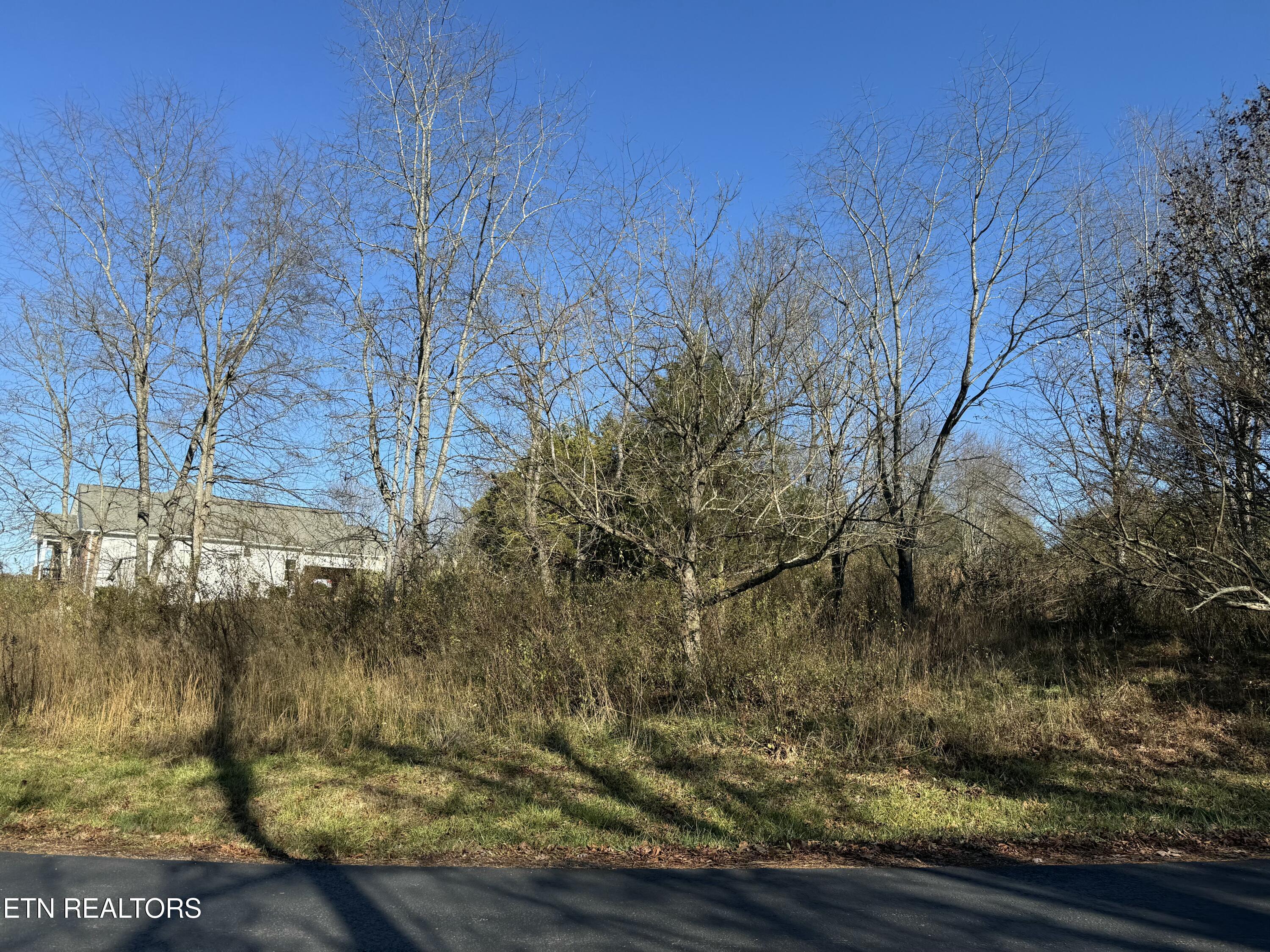 Ganega Tr, Vonore, TN - Fort Loudoun and Tellico Lake Real Estate - Image# 4