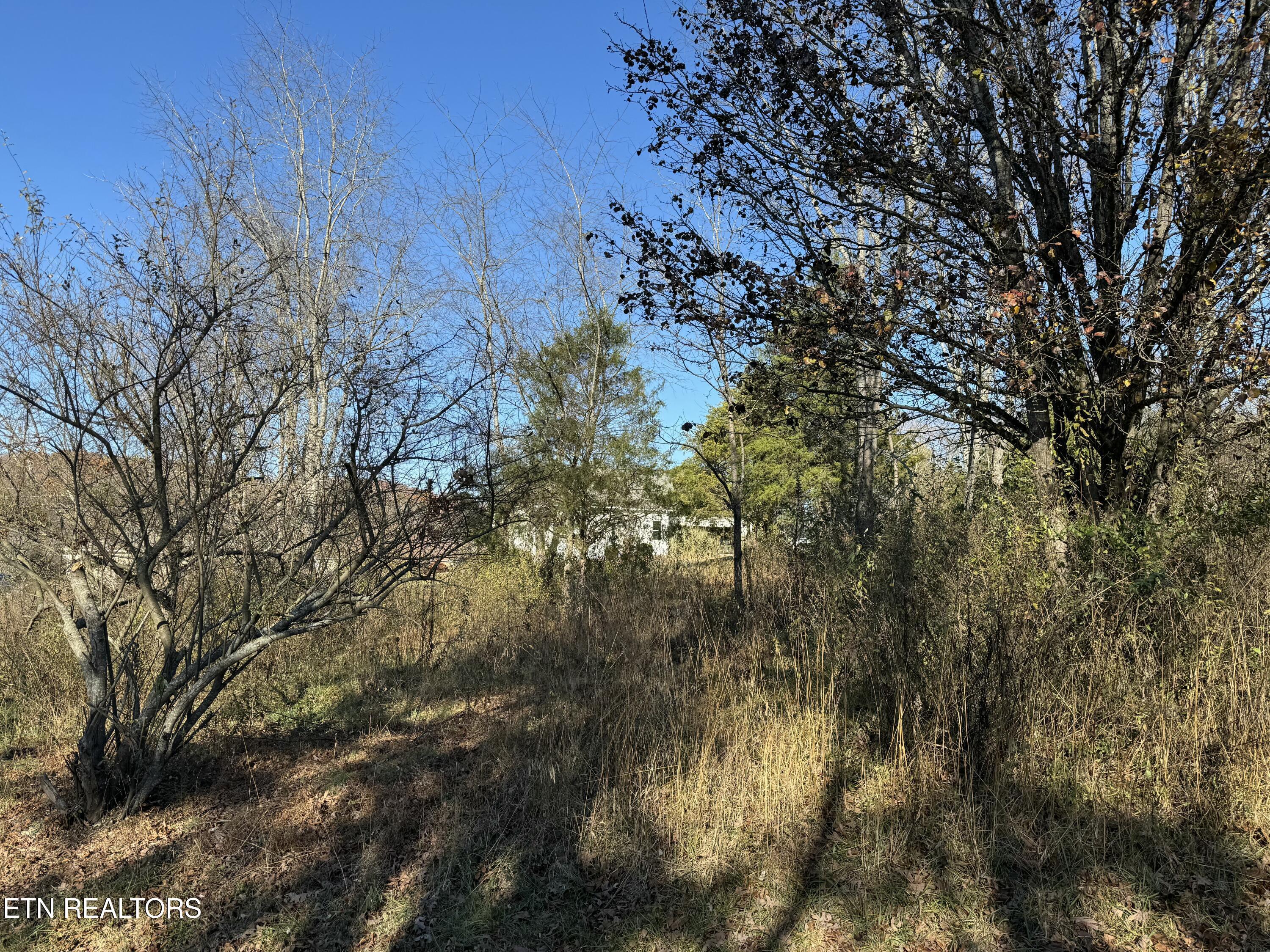 Ganega Tr, Vonore, TN - Fort Loudoun and Tellico Lake Real Estate - Image# 5
