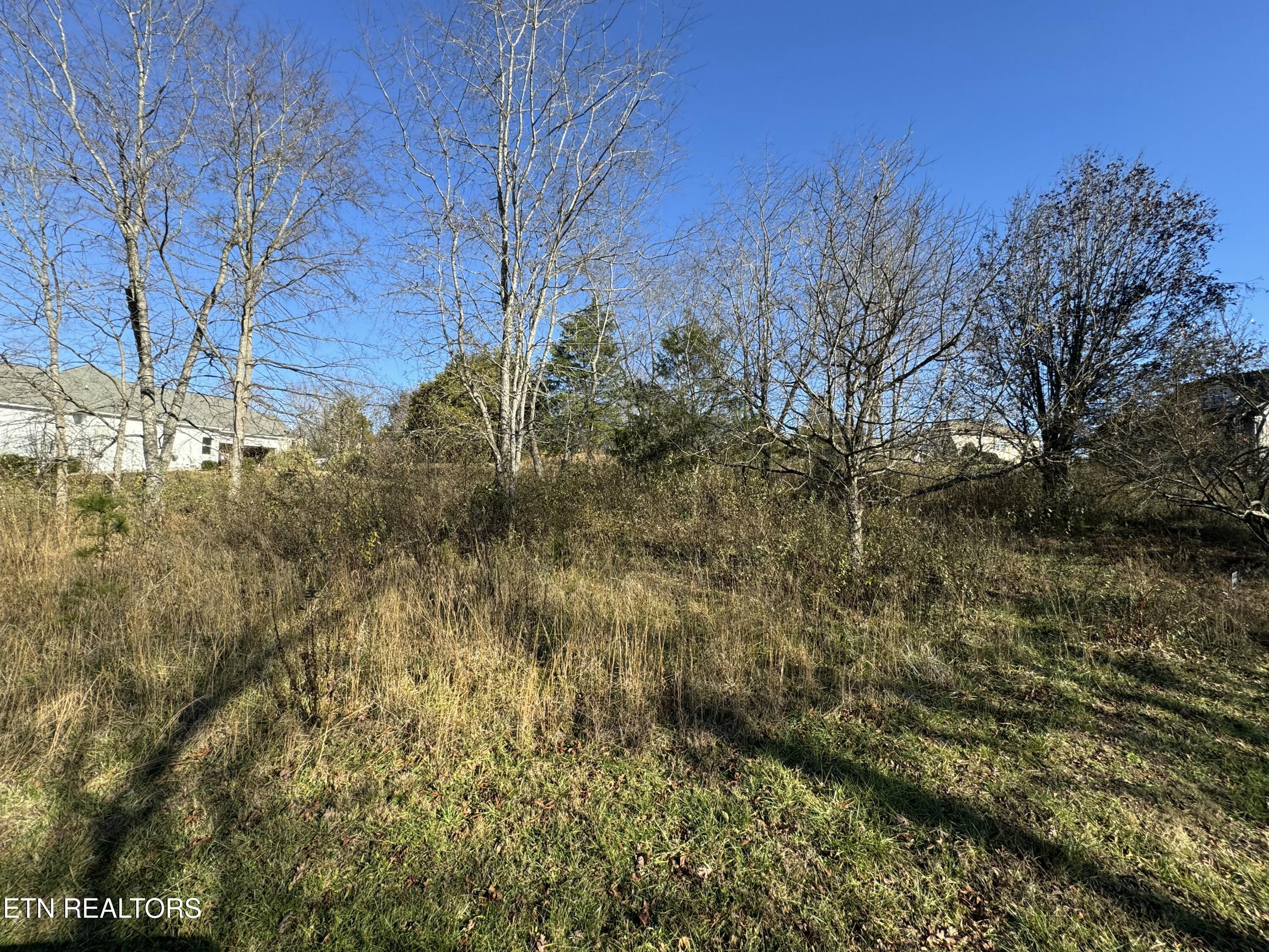 Ganega Tr, Vonore, TN - Fort Loudoun and Tellico Lake Real Estate - Image# 6