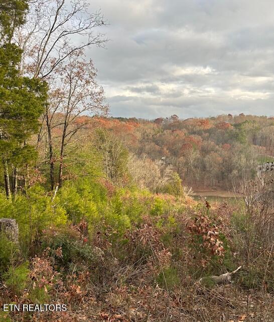 013R Blackberry Ridge Rd, Lenoir City, TN - Fort Loudoun and Tellico Lake Real Estate - Image# 49