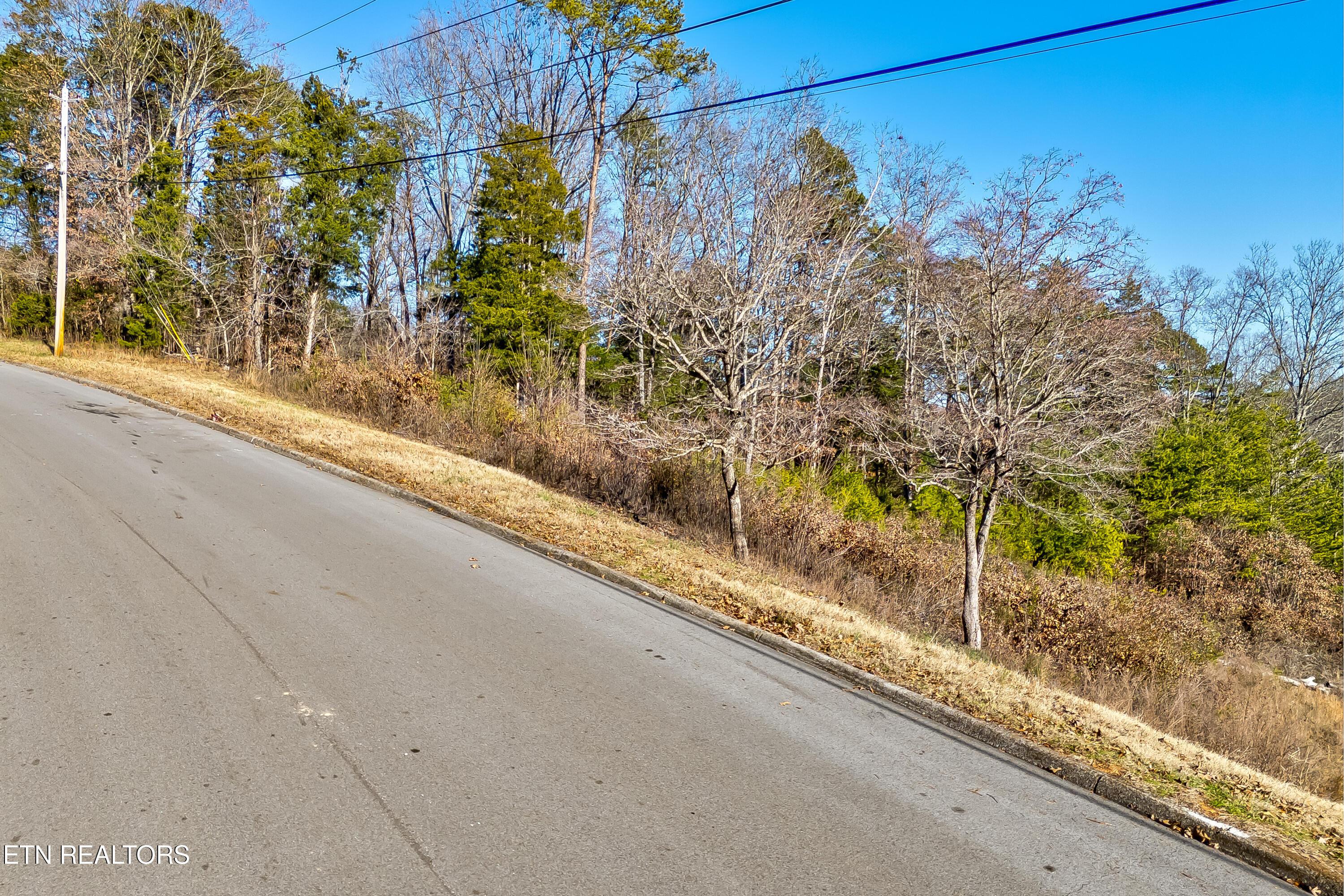 013R Blackberry Ridge Rd, Lenoir City, TN - Fort Loudoun and Tellico Lake Real Estate - Image# 4