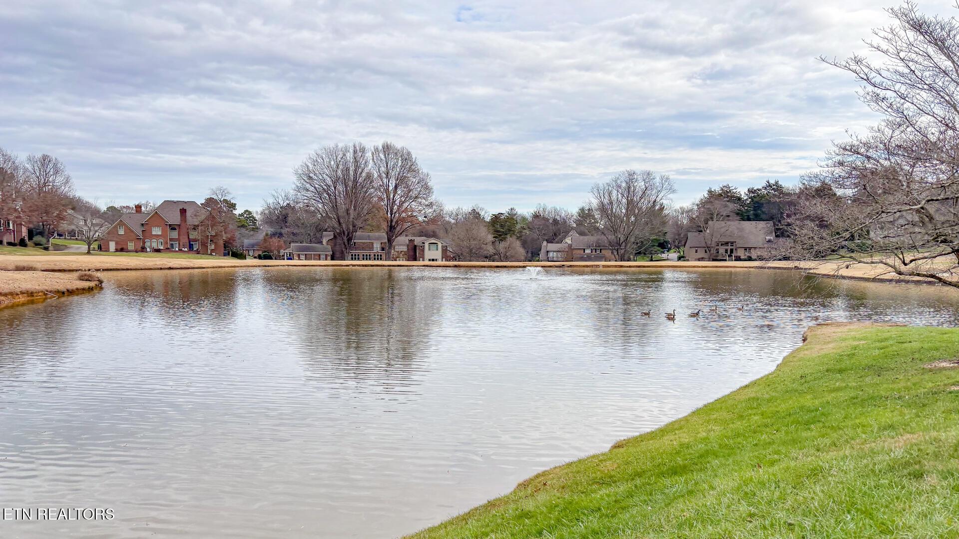 Fort Loudoun and Tellico Lake Real Estate - Image# 4
