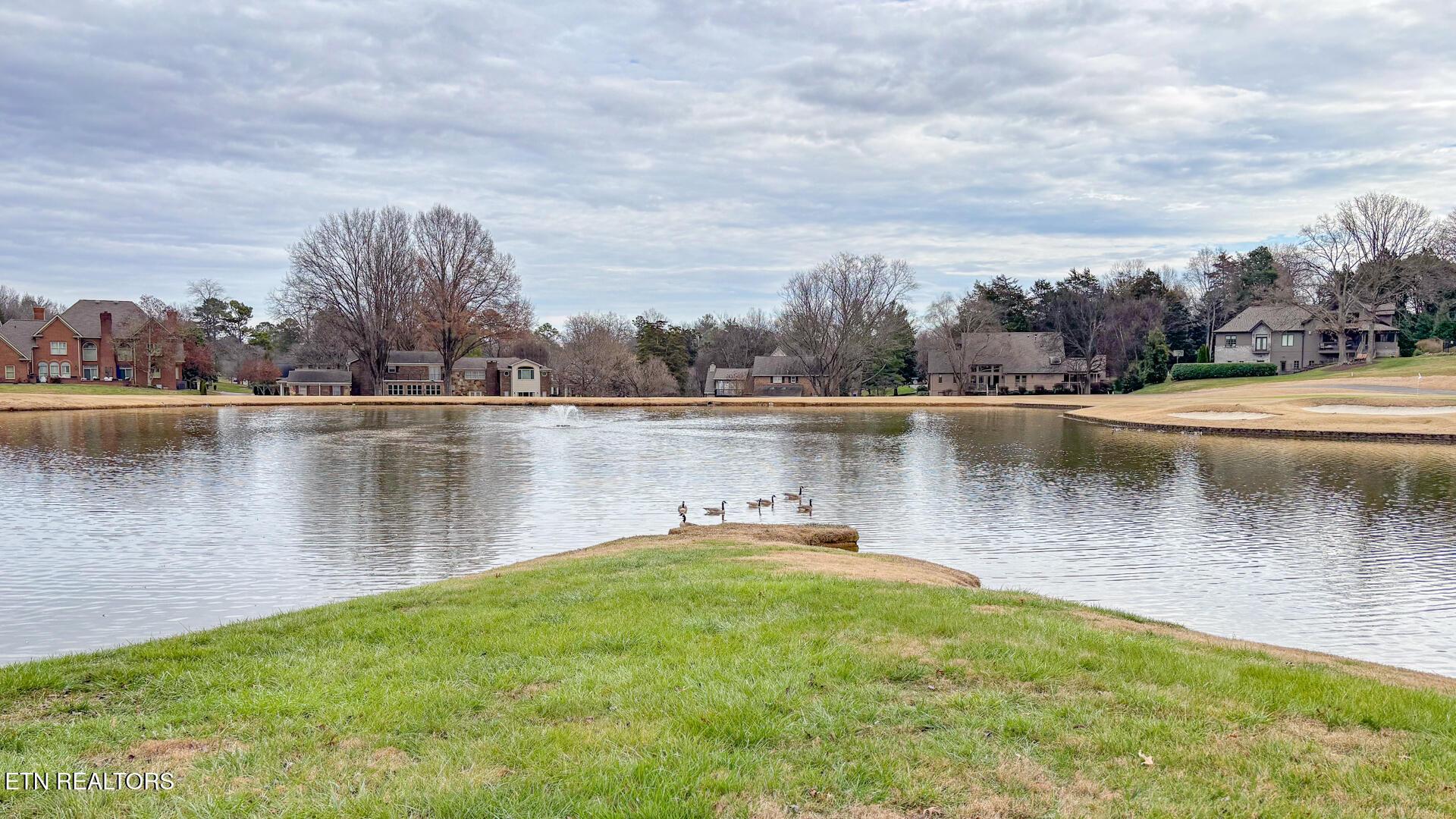 Fort Loudoun and Tellico Lake Real Estate - Image# 44