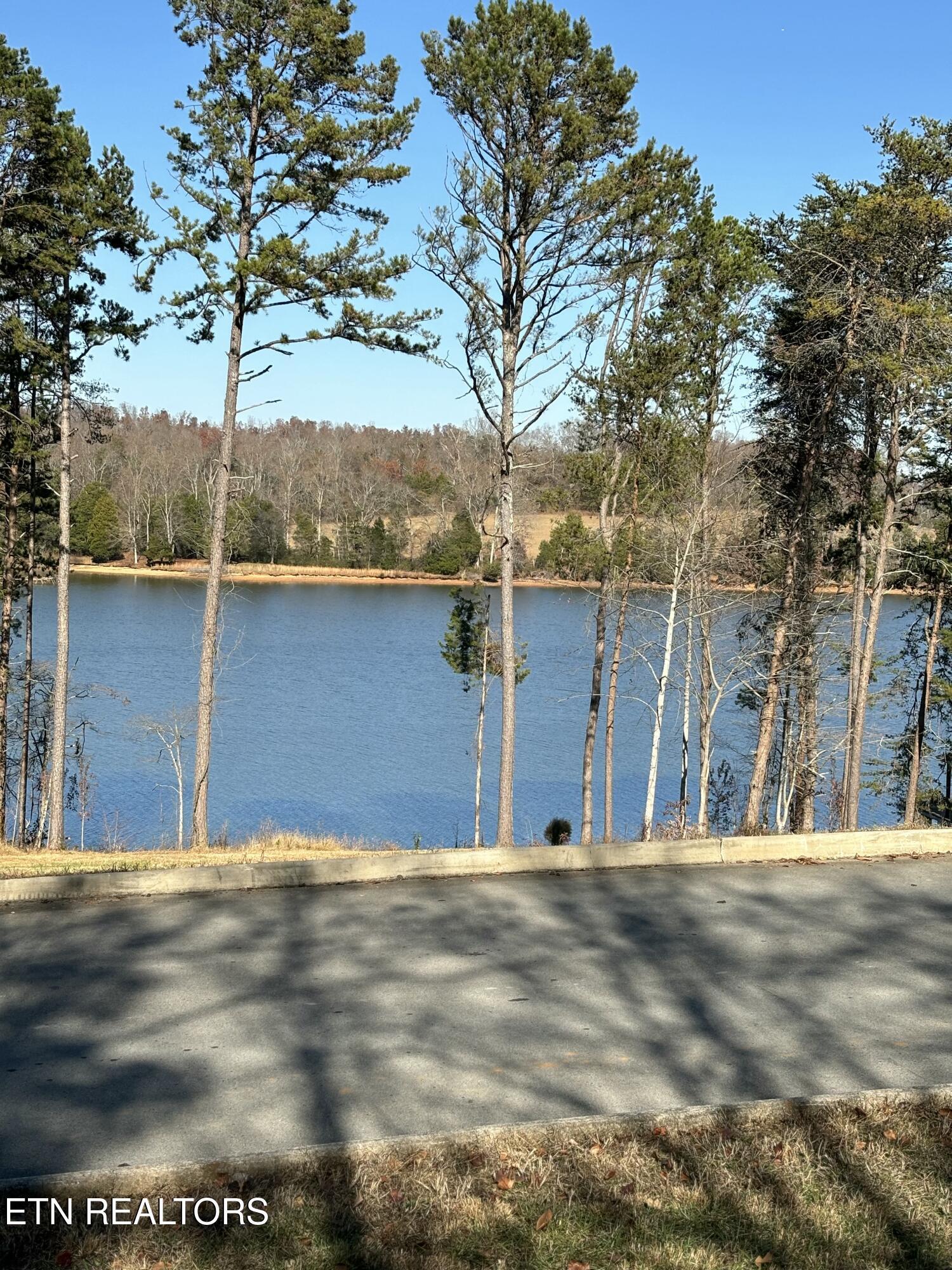 646 Sandpiper Drive, Vonore, TN - Fort Loudoun and Tellico Lake Real Estate - Image# 4