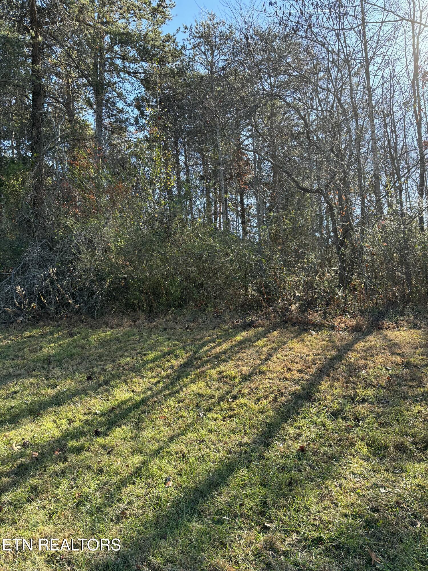 646 Sandpiper Drive, Vonore, TN - Fort Loudoun and Tellico Lake Real Estate - Image# 8