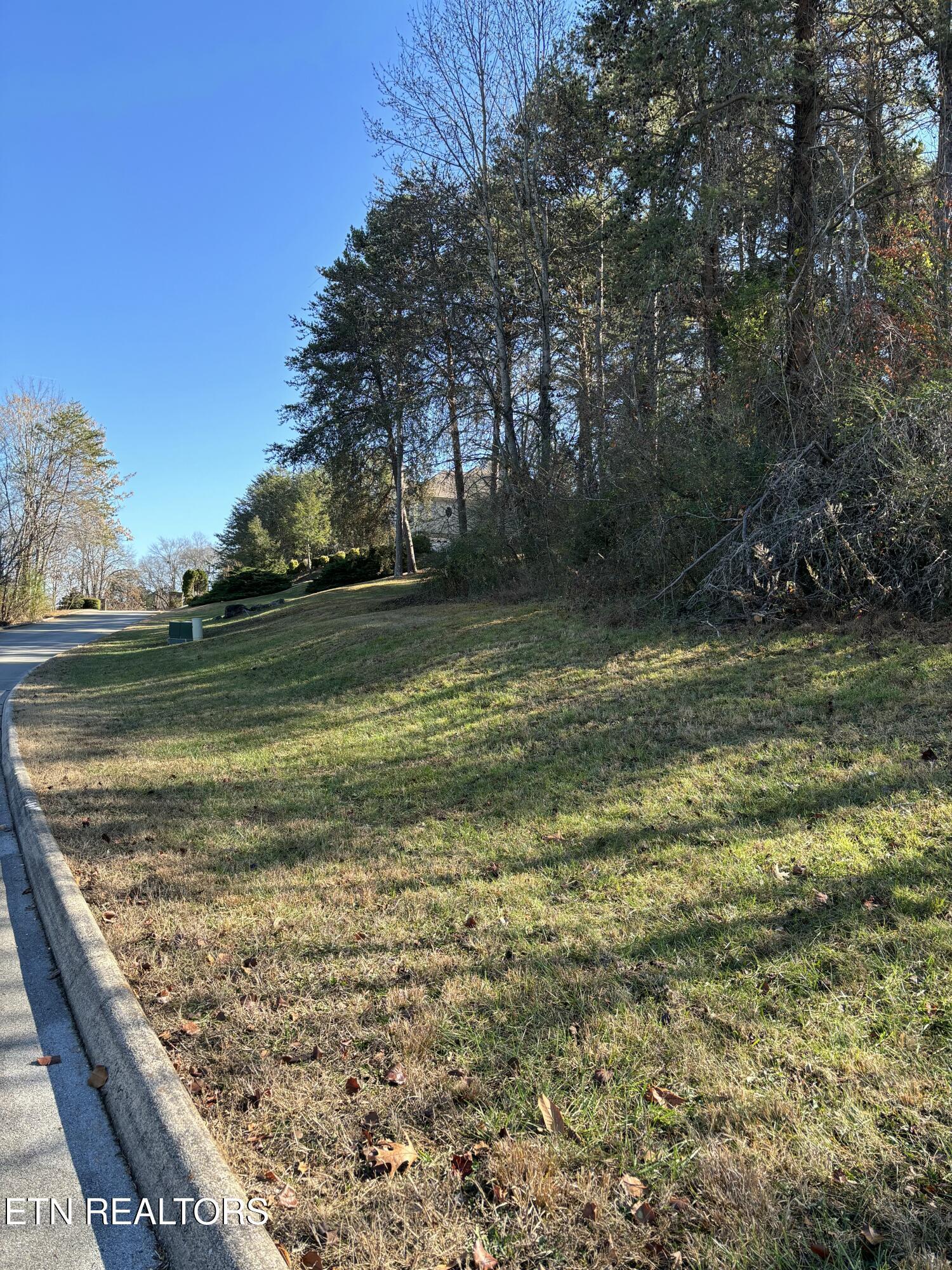 646 Sandpiper Drive, Vonore, TN - Fort Loudoun and Tellico Lake Real Estate - Image# 9