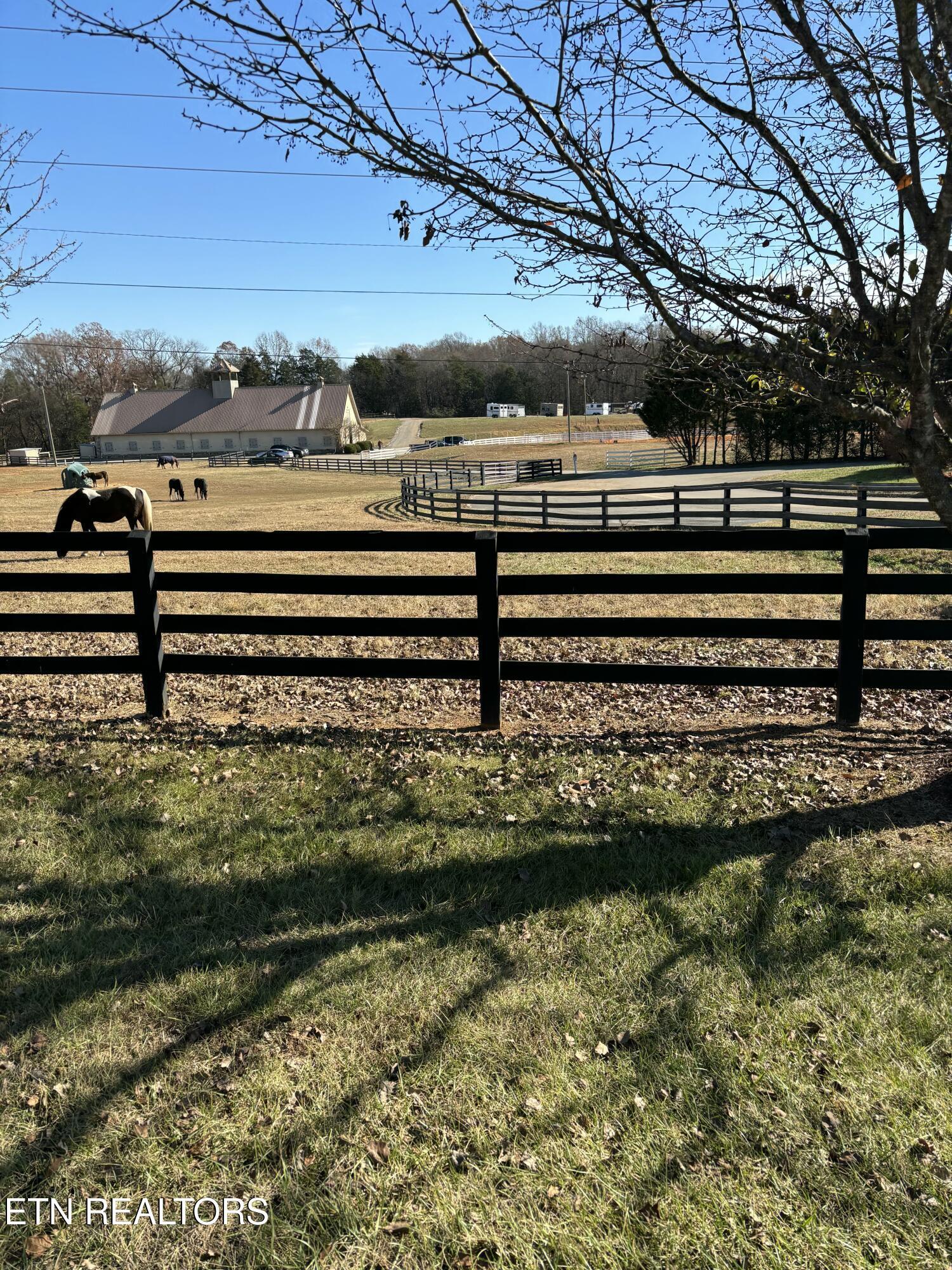 646 Sandpiper Drive, Vonore, TN - Fort Loudoun and Tellico Lake Real Estate - Image# 12
