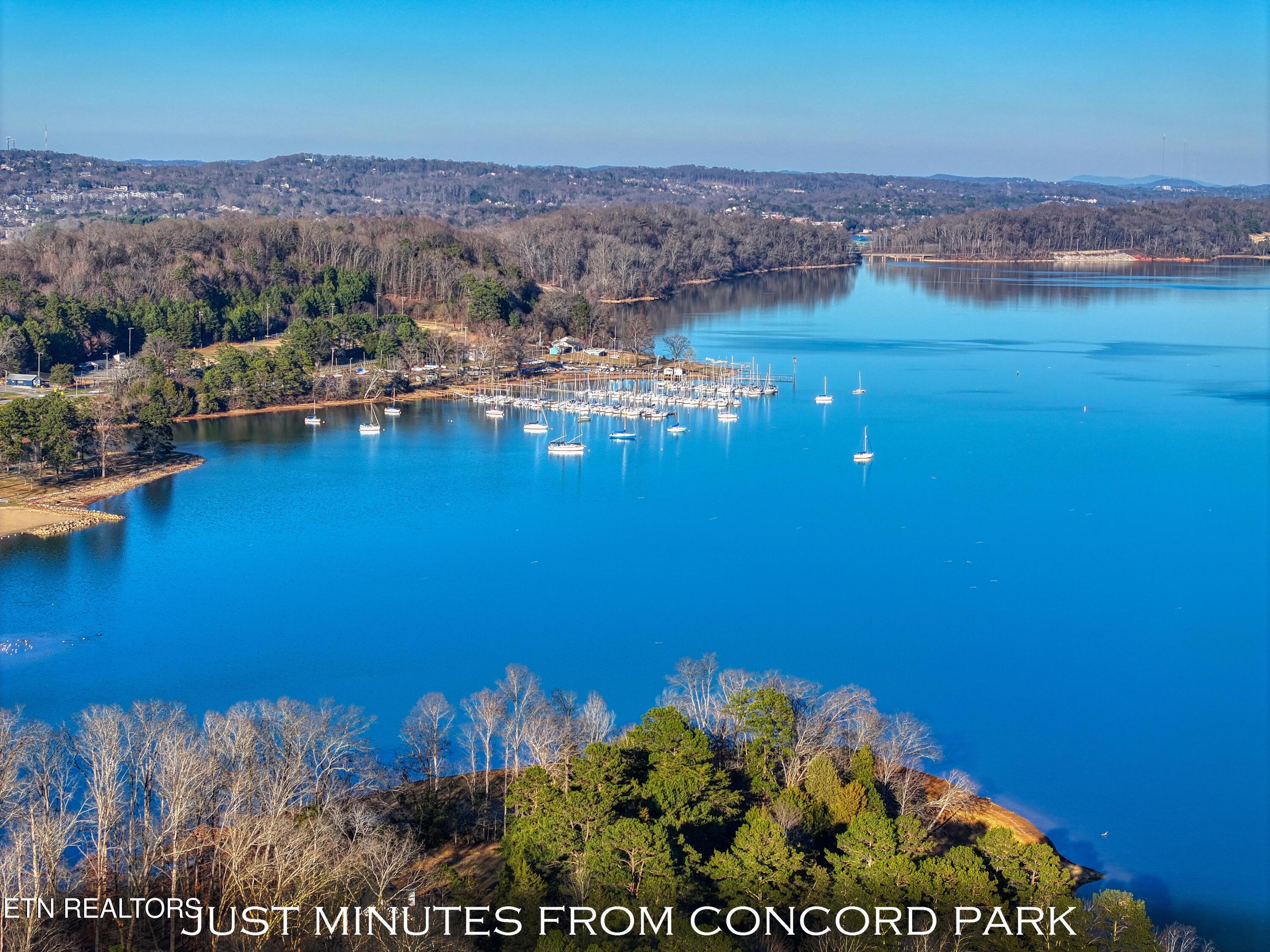 12240 Mossy Point Way, Knoxville, TN - Fort Loudoun and Tellico Lake Real Estate - Image# 57