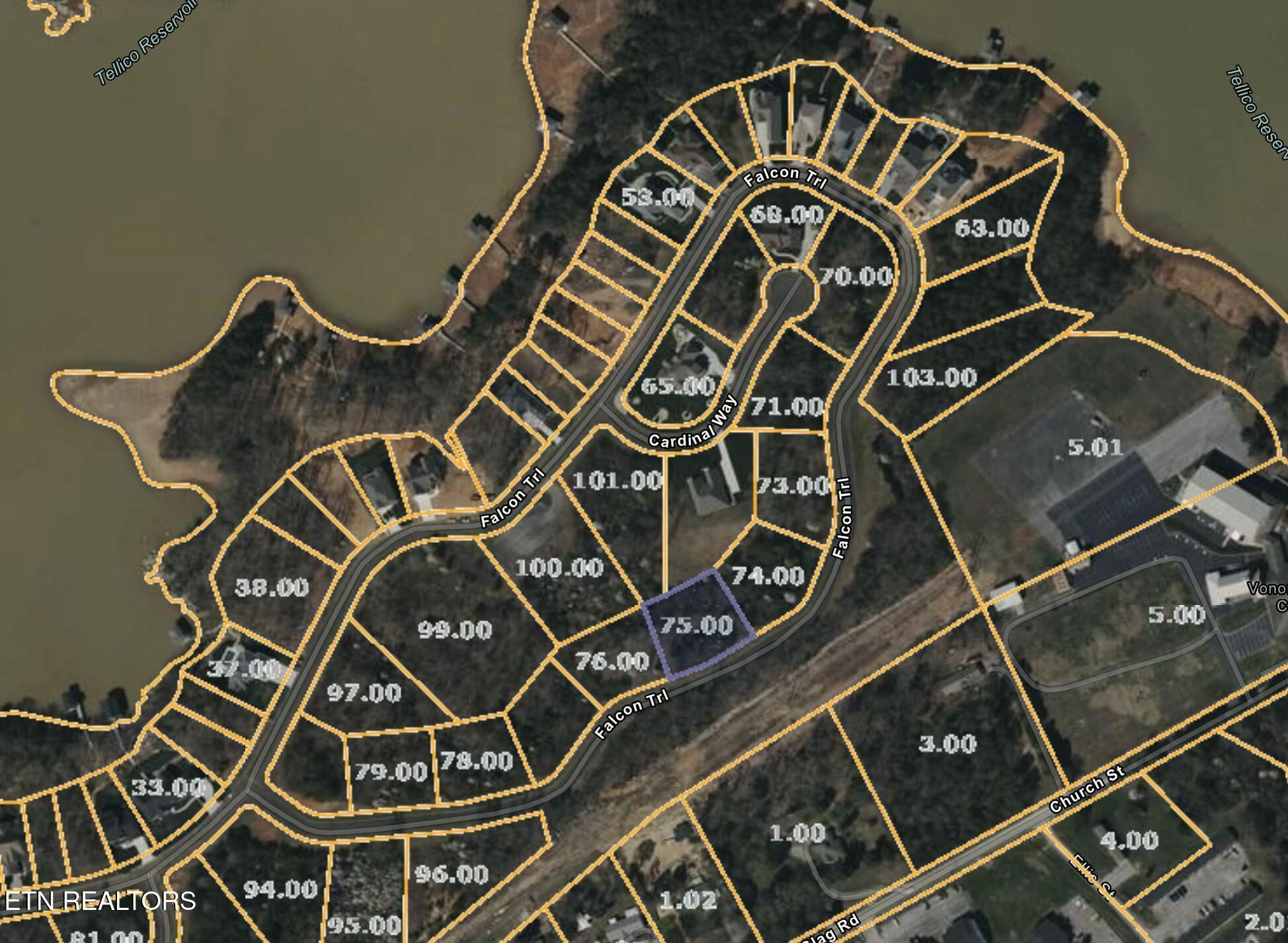 LOT # 75 - Falcon Trl, Vonore, TN - Fort Loudoun and Tellico Lake Real Estate - Image# 3
