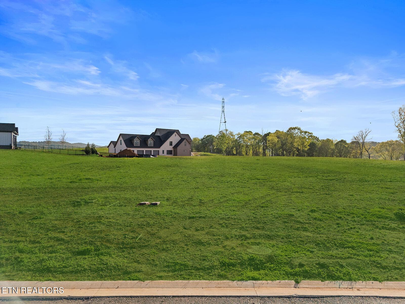113 Firefly Drive, Loudon, TN - Fort Loudoun and Tellico Lake Real Estate - Image# 4