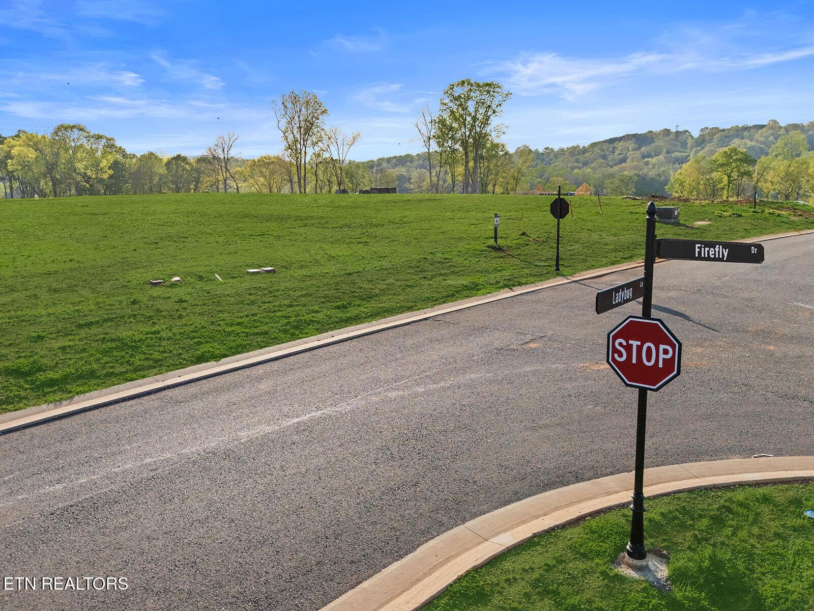 113 Firefly Drive, Loudon, TN - Fort Loudoun and Tellico Lake Real Estate - Image# 9