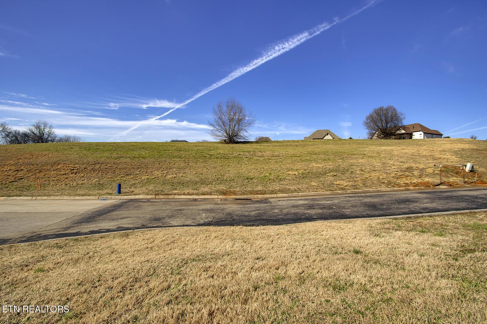 195 Killdeer Drive, Vonore, TN - Fort Loudoun and Tellico Lake Real Estate - Image# 4