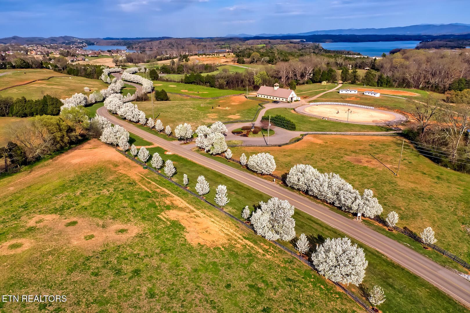 195 Killdeer Drive, Vonore, TN - Fort Loudoun and Tellico Lake Real Estate - Image# 31