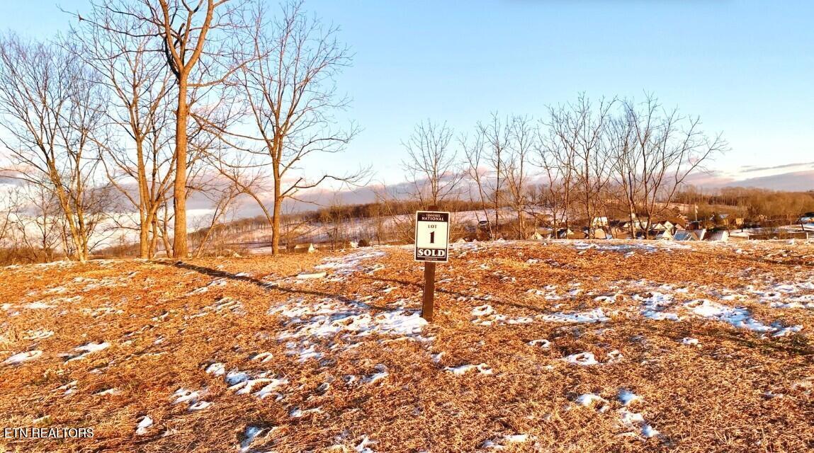 Fort Loudoun and Tellico Lake Real Estate - Image# 6