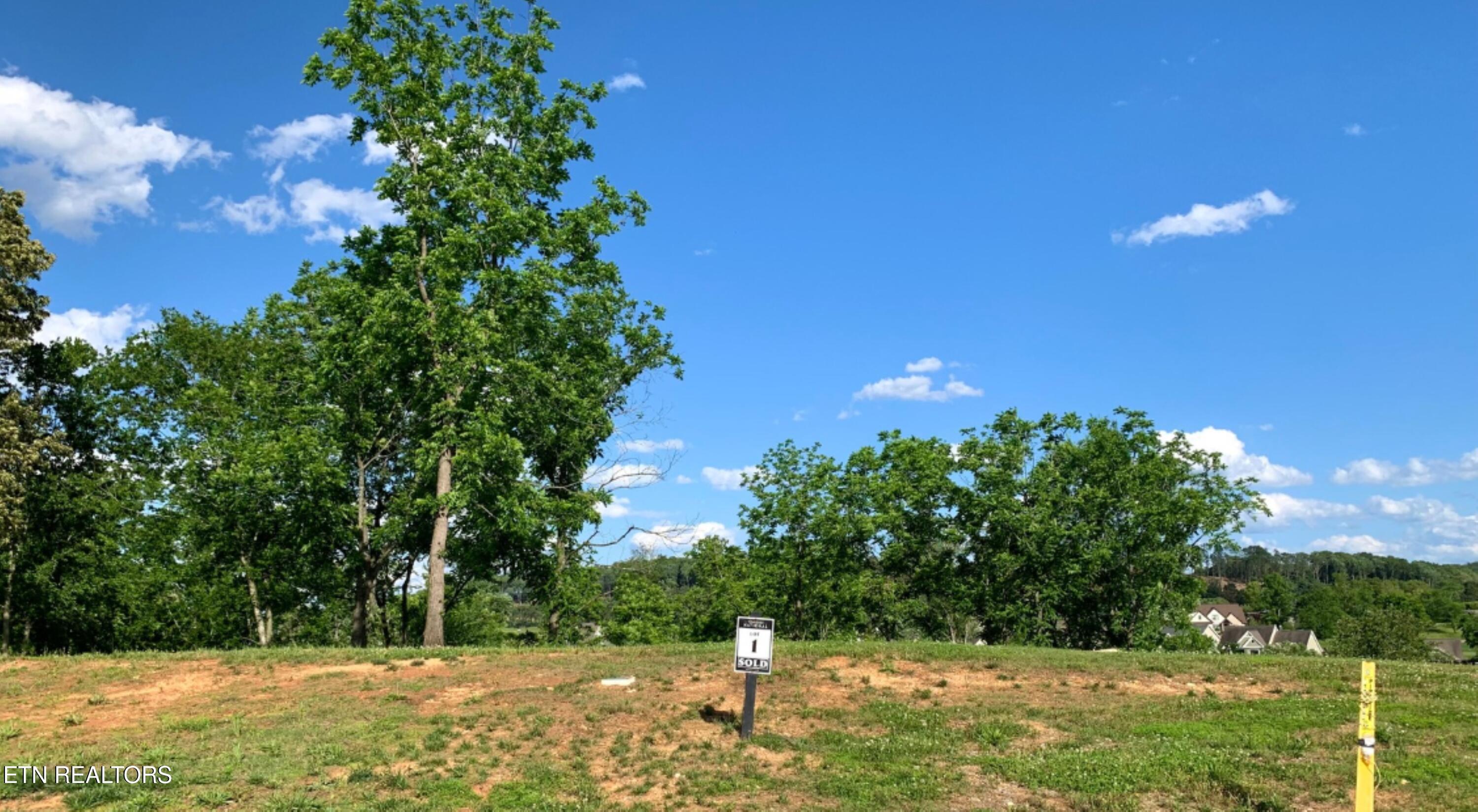 Fort Loudoun and Tellico Lake Real Estate - Image# 5