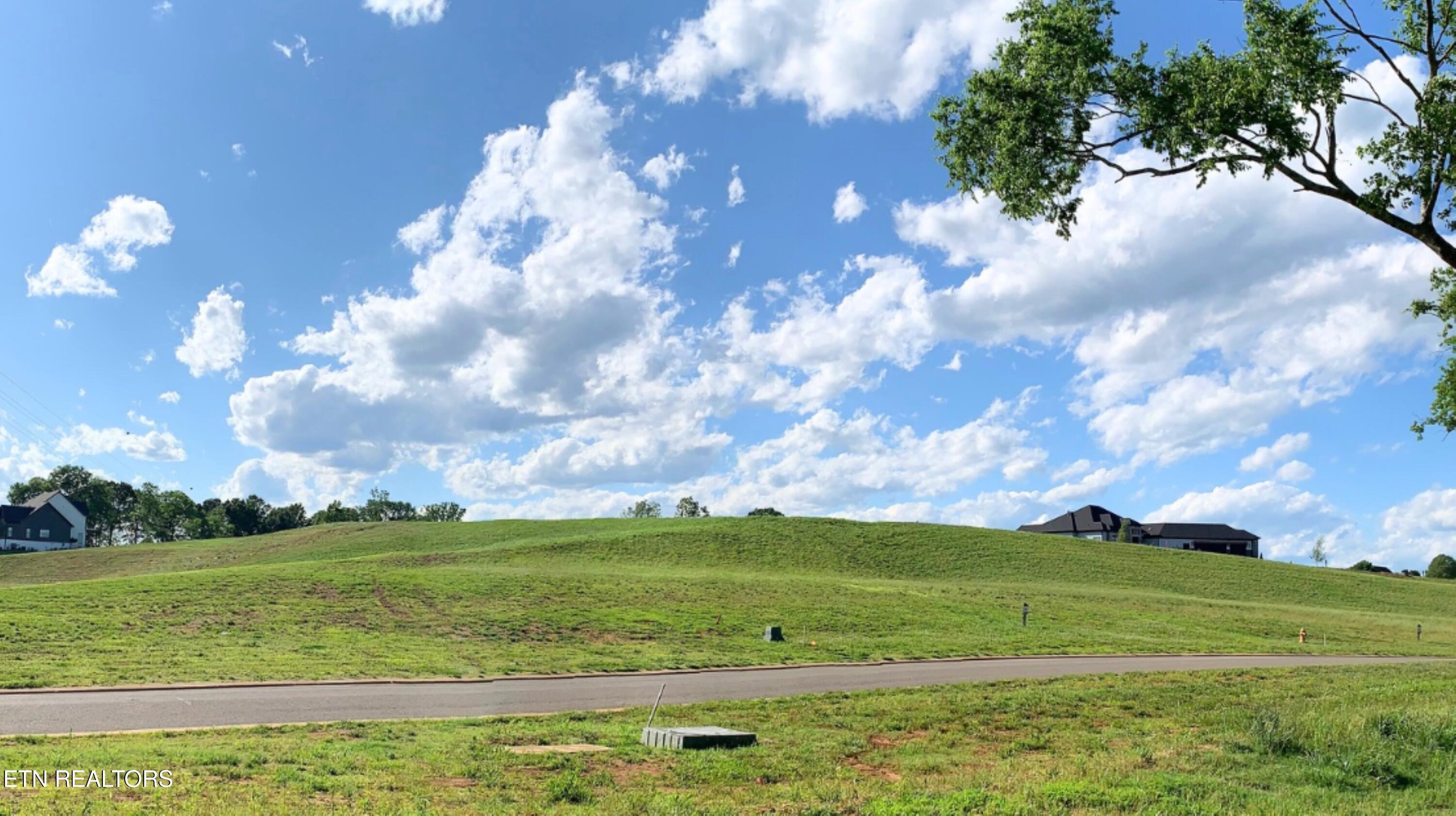 Fort Loudoun and Tellico Lake Real Estate - Image# 29