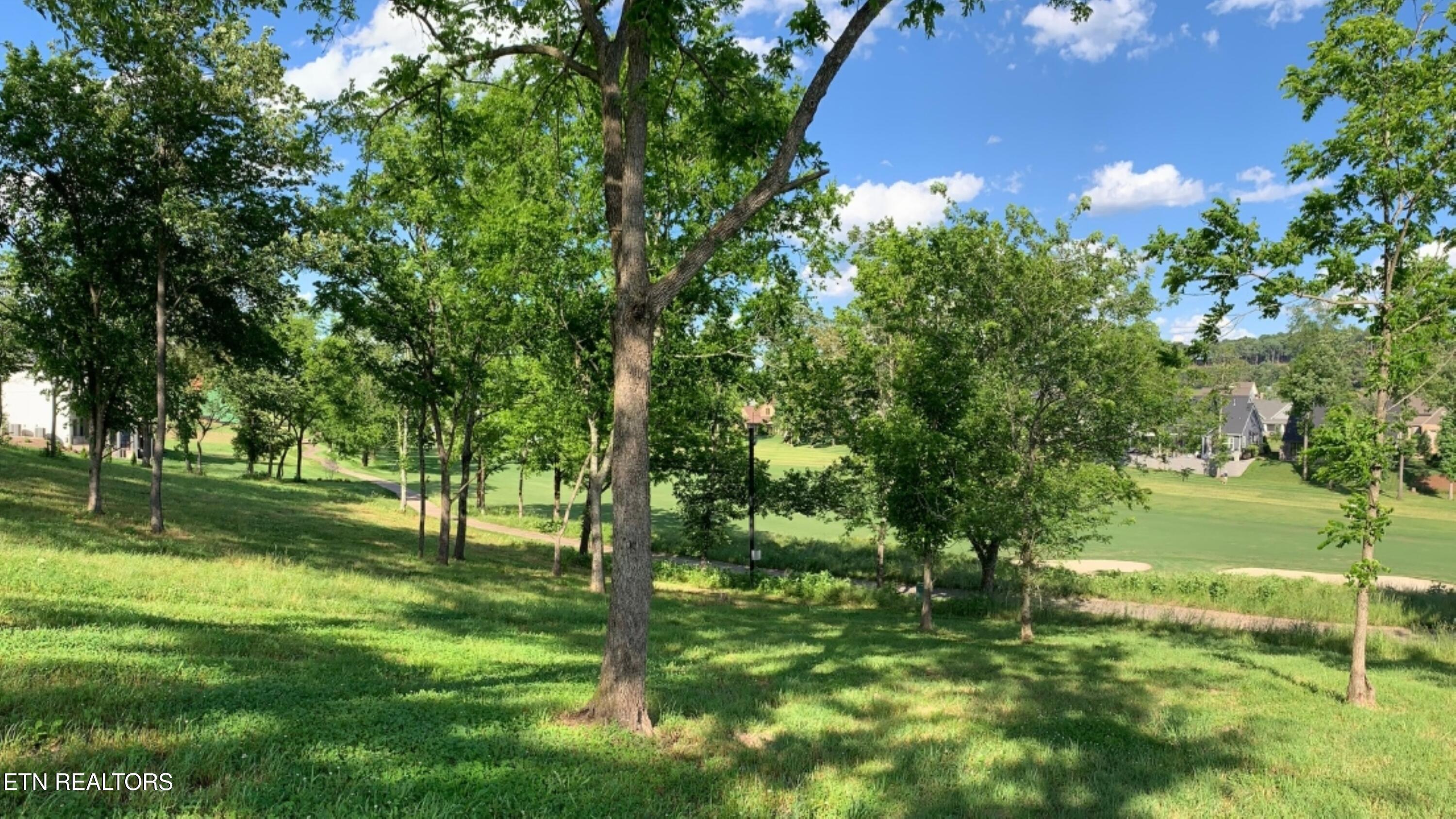 Fort Loudoun and Tellico Lake Real Estate - Image# 11