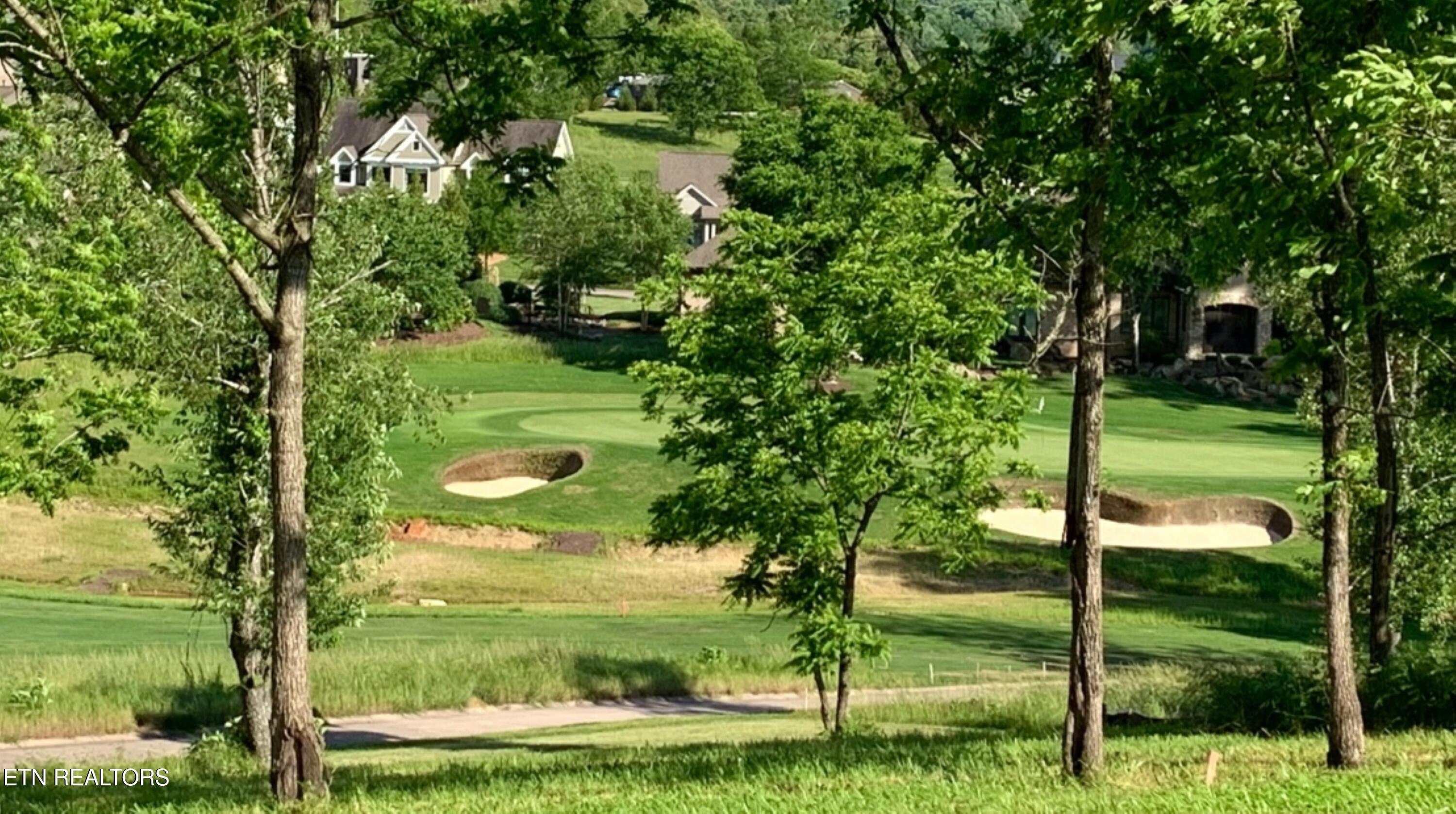 Fort Loudoun and Tellico Lake Real Estate - Image# 25