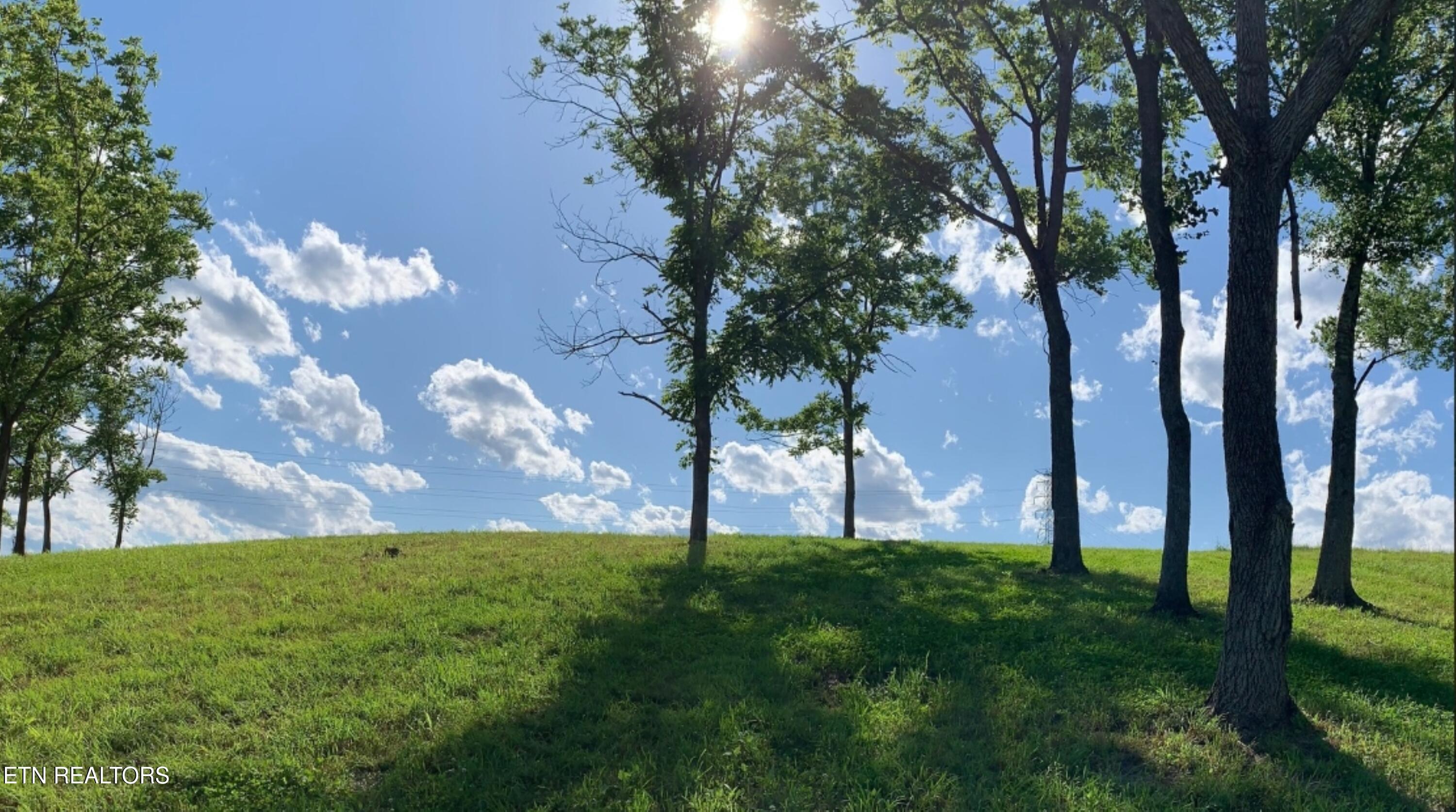 Fort Loudoun and Tellico Lake Real Estate - Image# 21