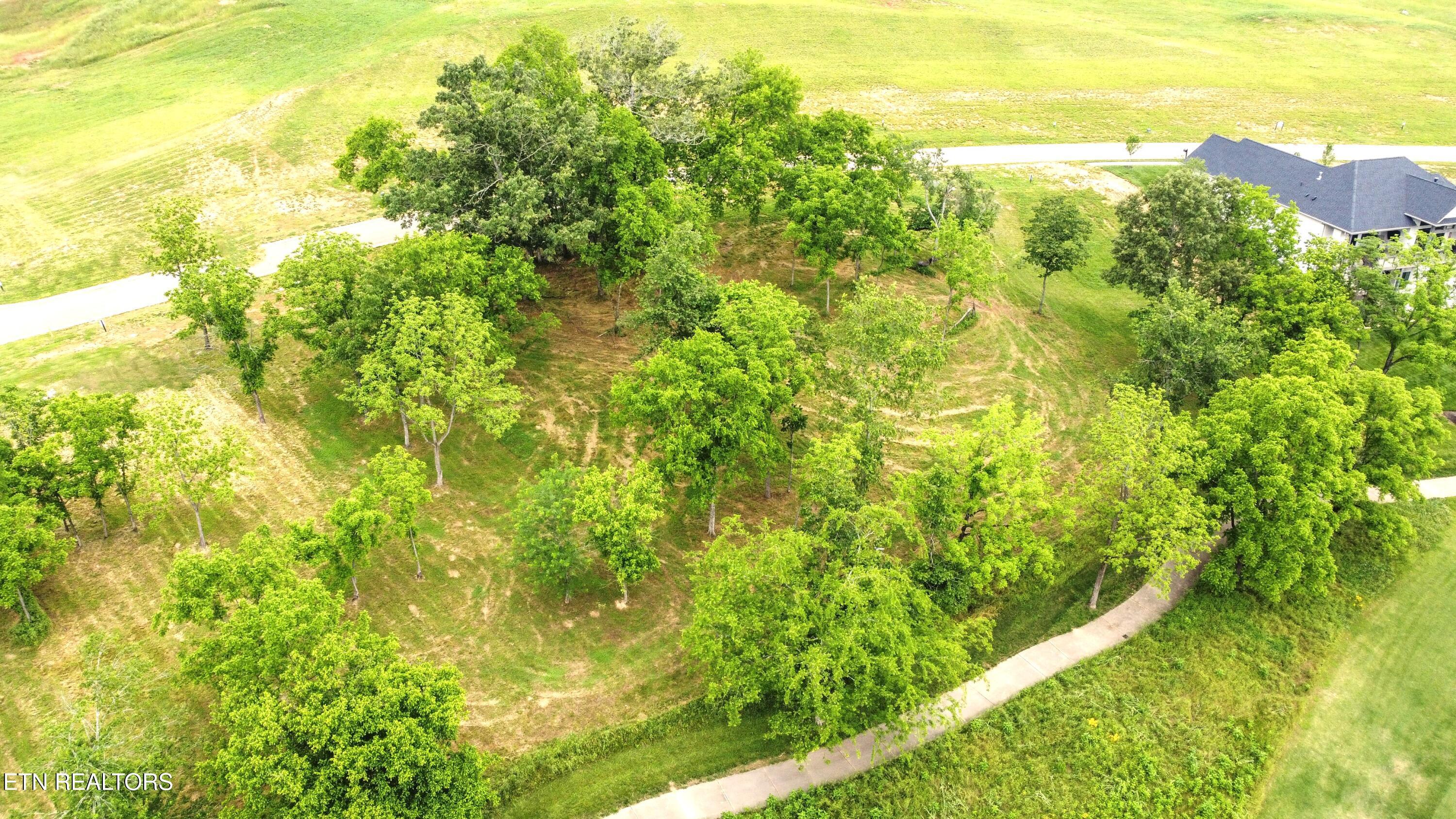 Fort Loudoun and Tellico Lake Real Estate - Image# 19