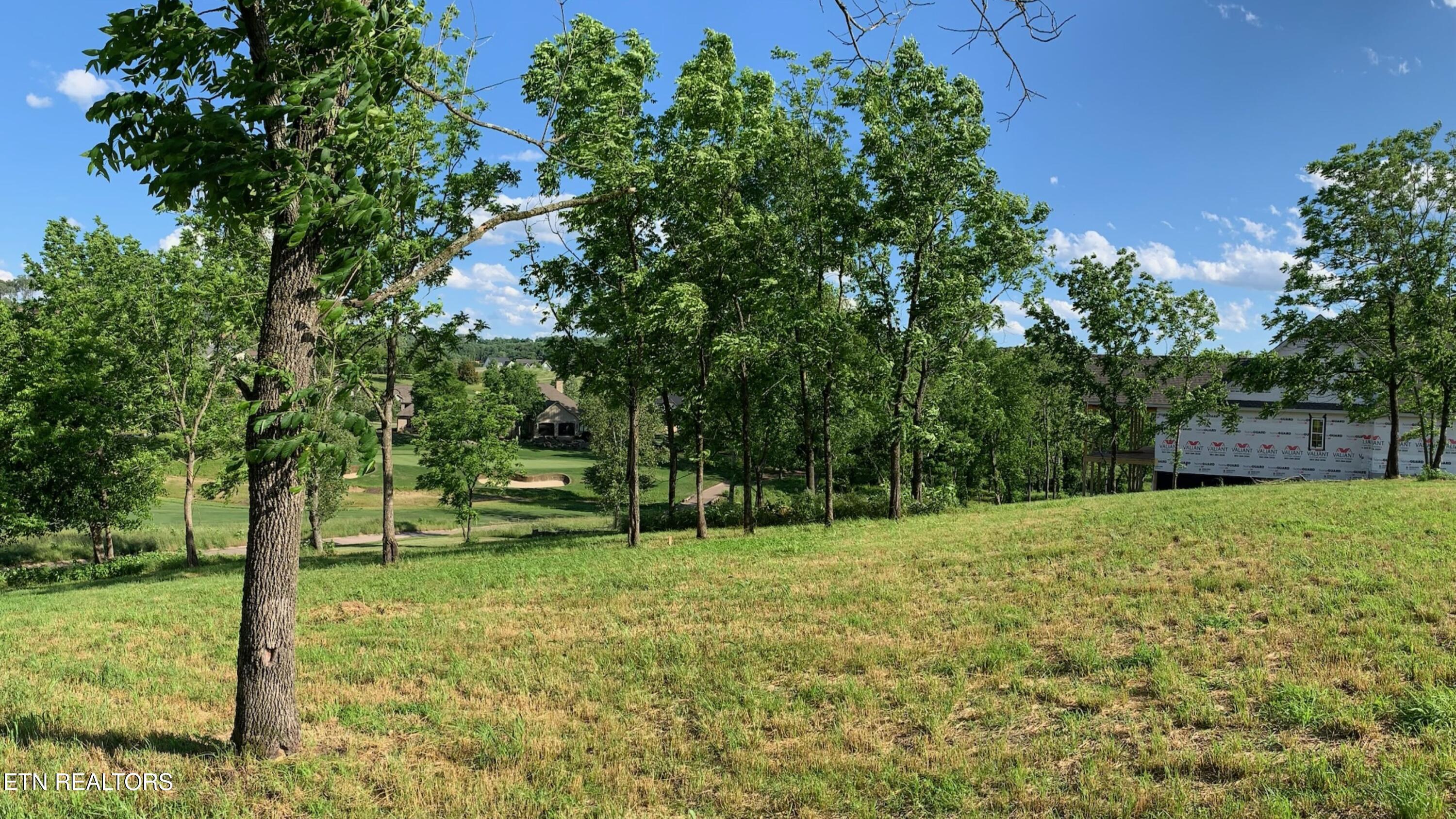 Fort Loudoun and Tellico Lake Real Estate - Image# 40