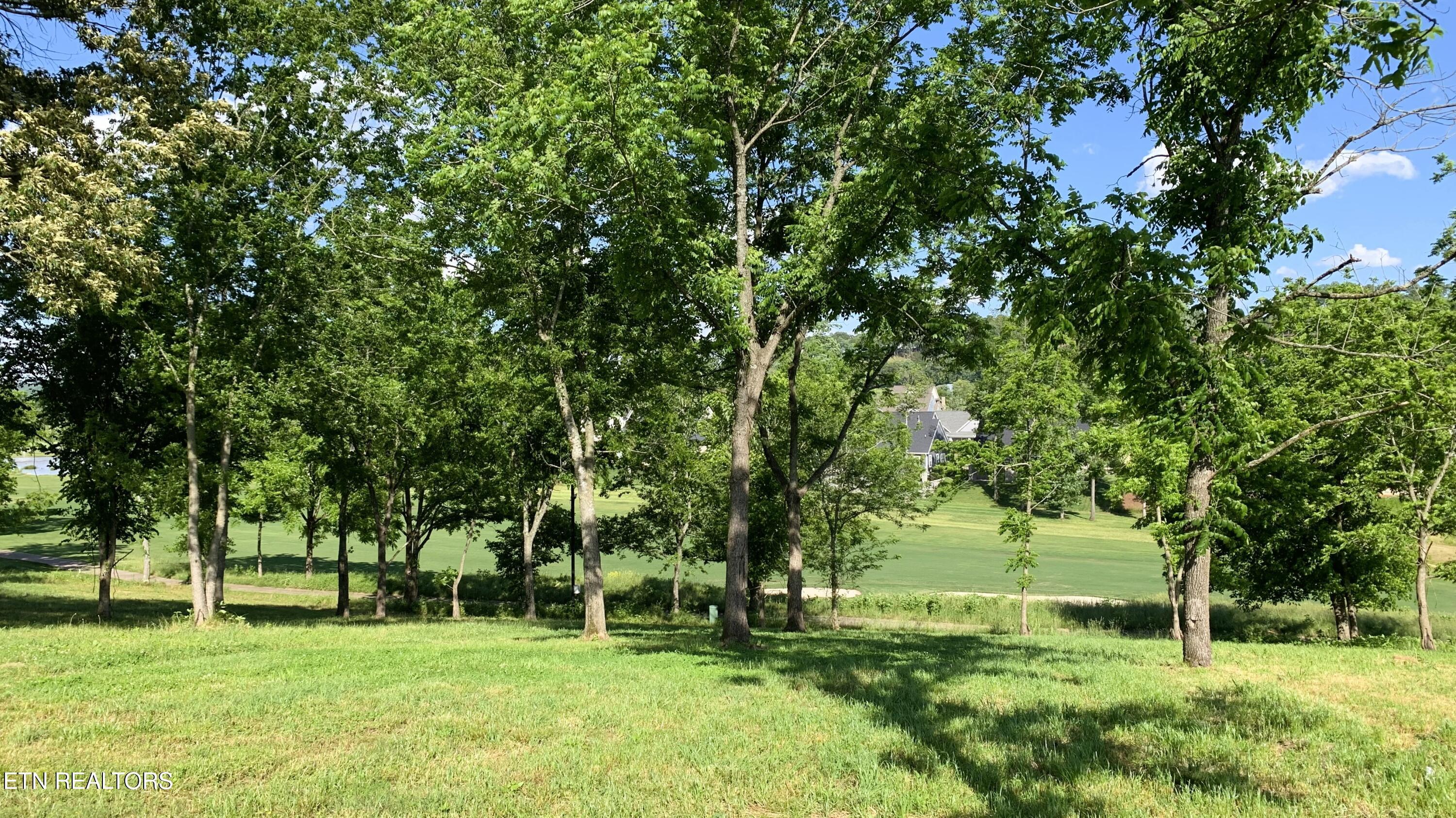Fort Loudoun and Tellico Lake Real Estate - Image# 45